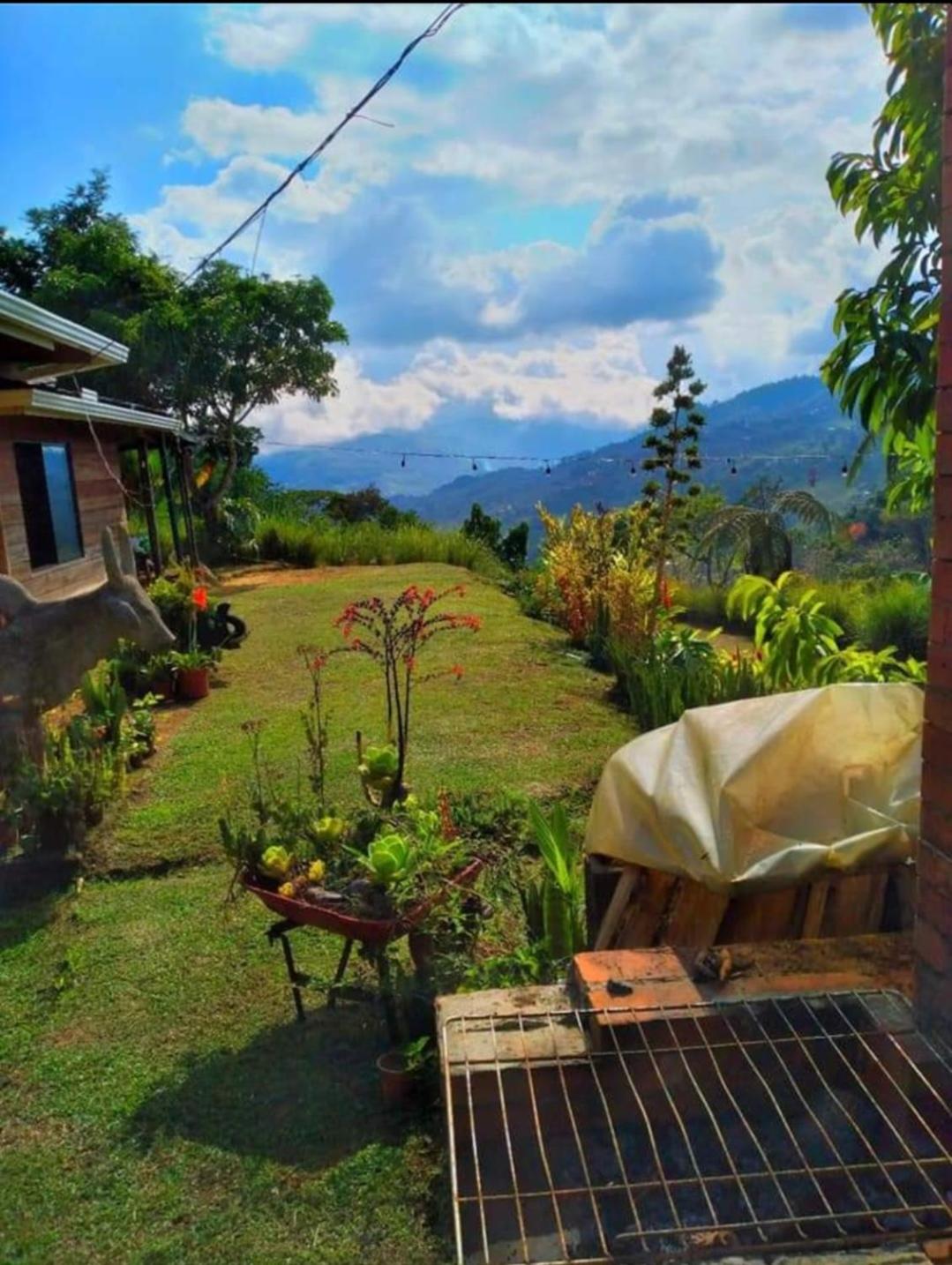 Cabaña vista hermosa