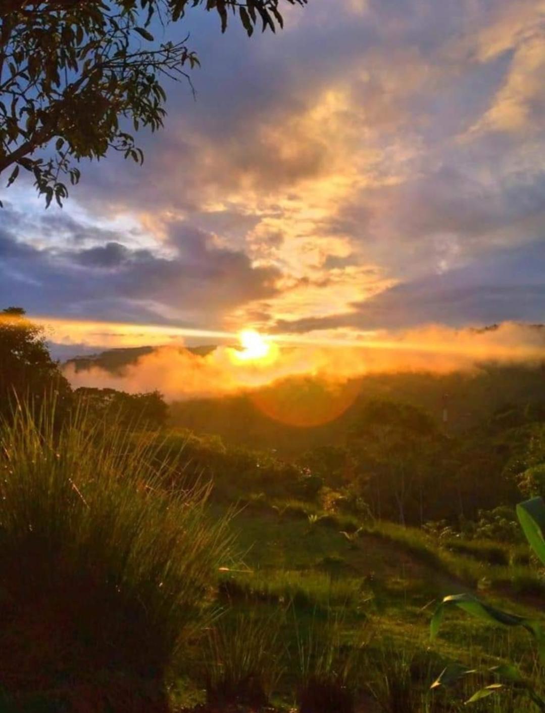 Cabaña vista hermosa