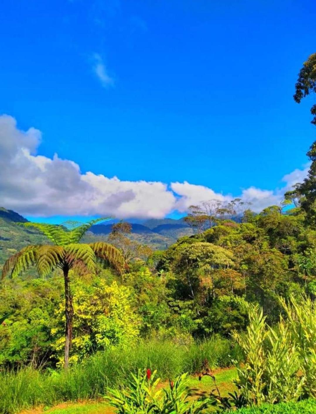 Cabaña vista hermosa