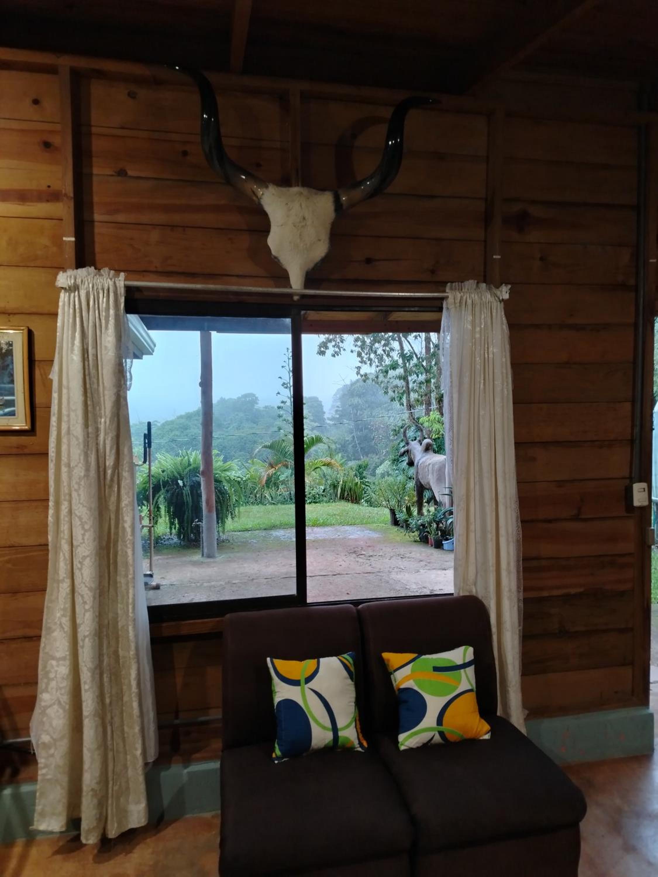 Cabaña vista hermosa