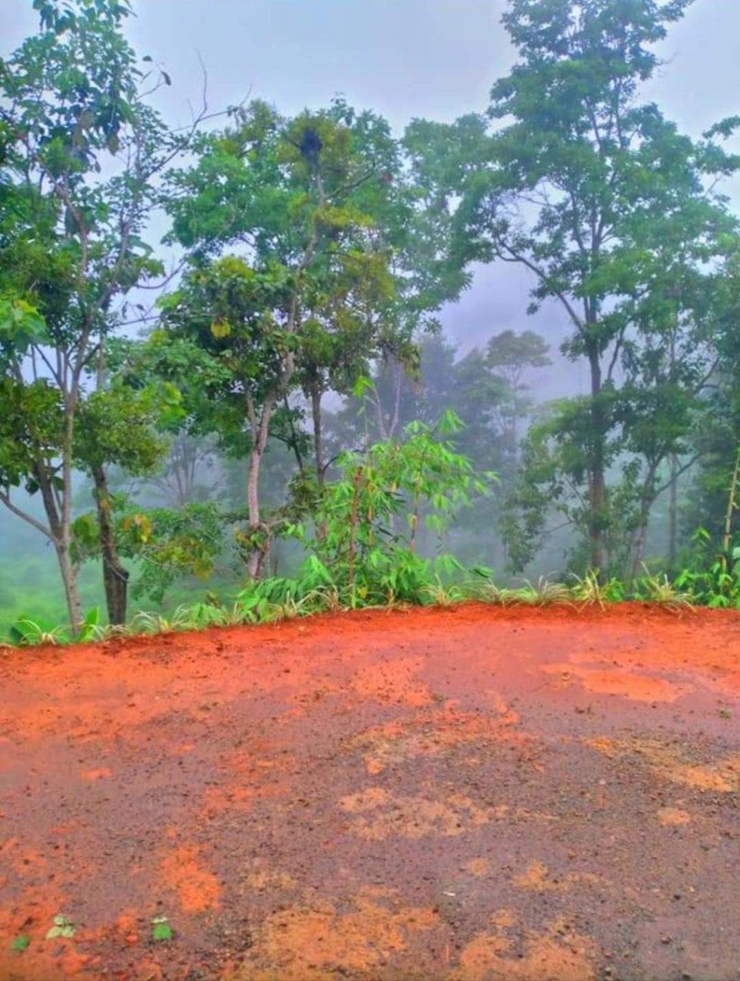 Cabaña vista hermosa