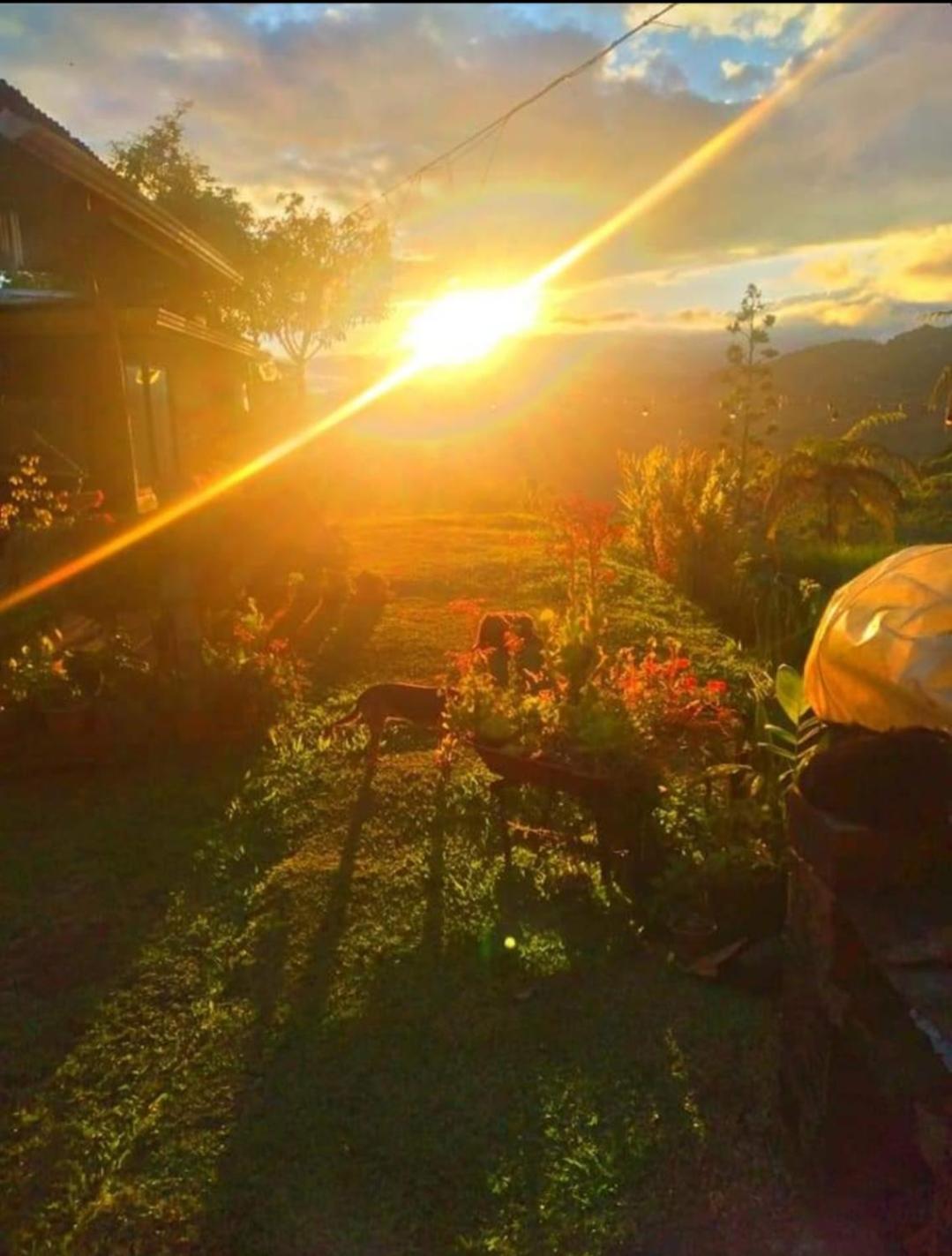 Cabaña vista hermosa
