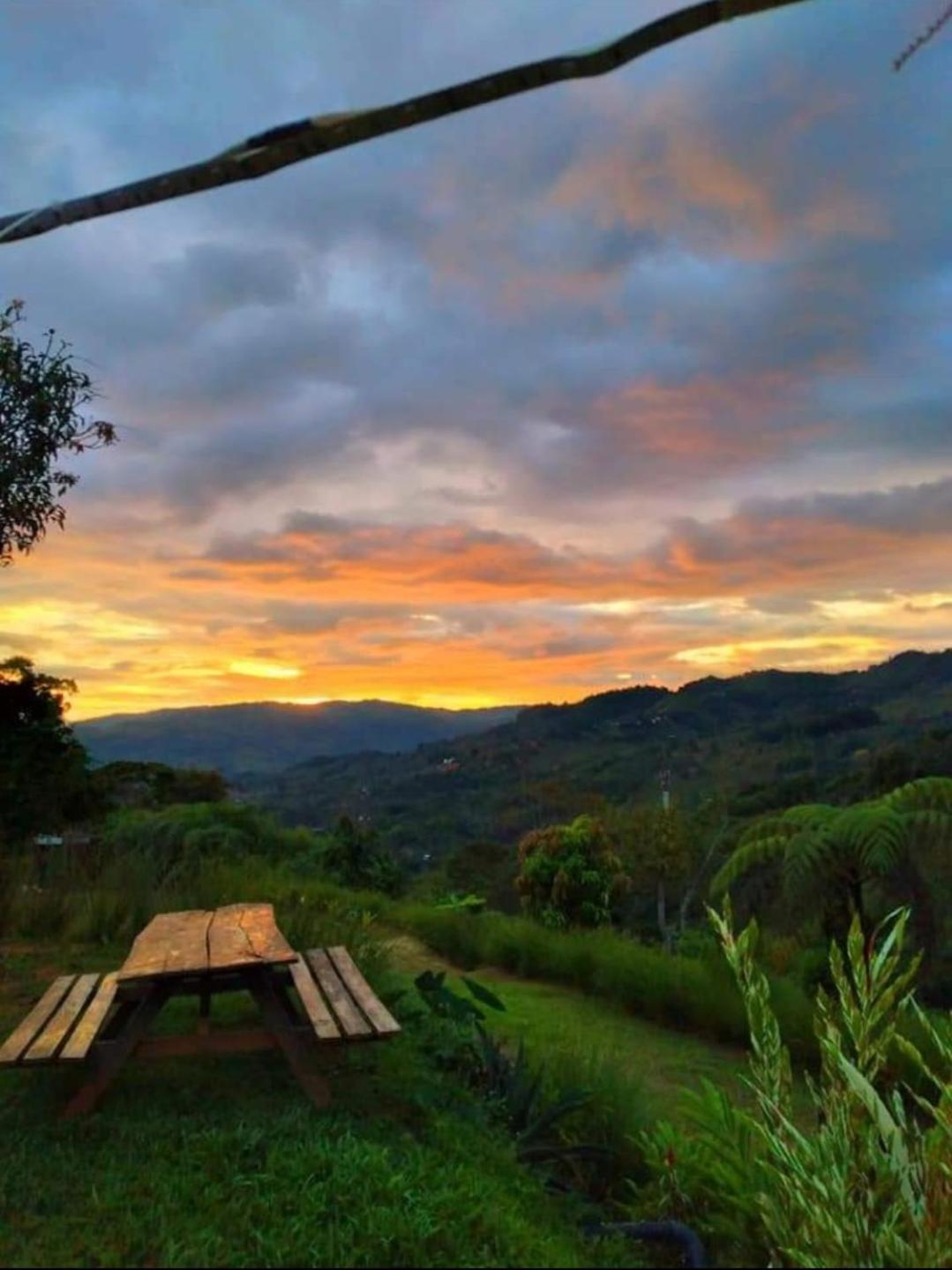 Cabaña vista hermosa