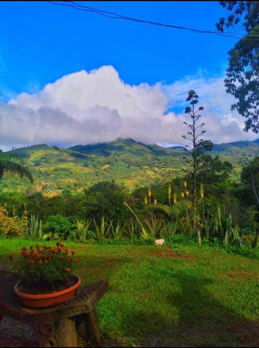 Cabaña vista hermosa