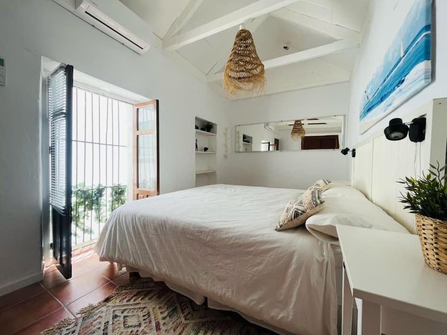 Apartment with roof terrace in the historic center