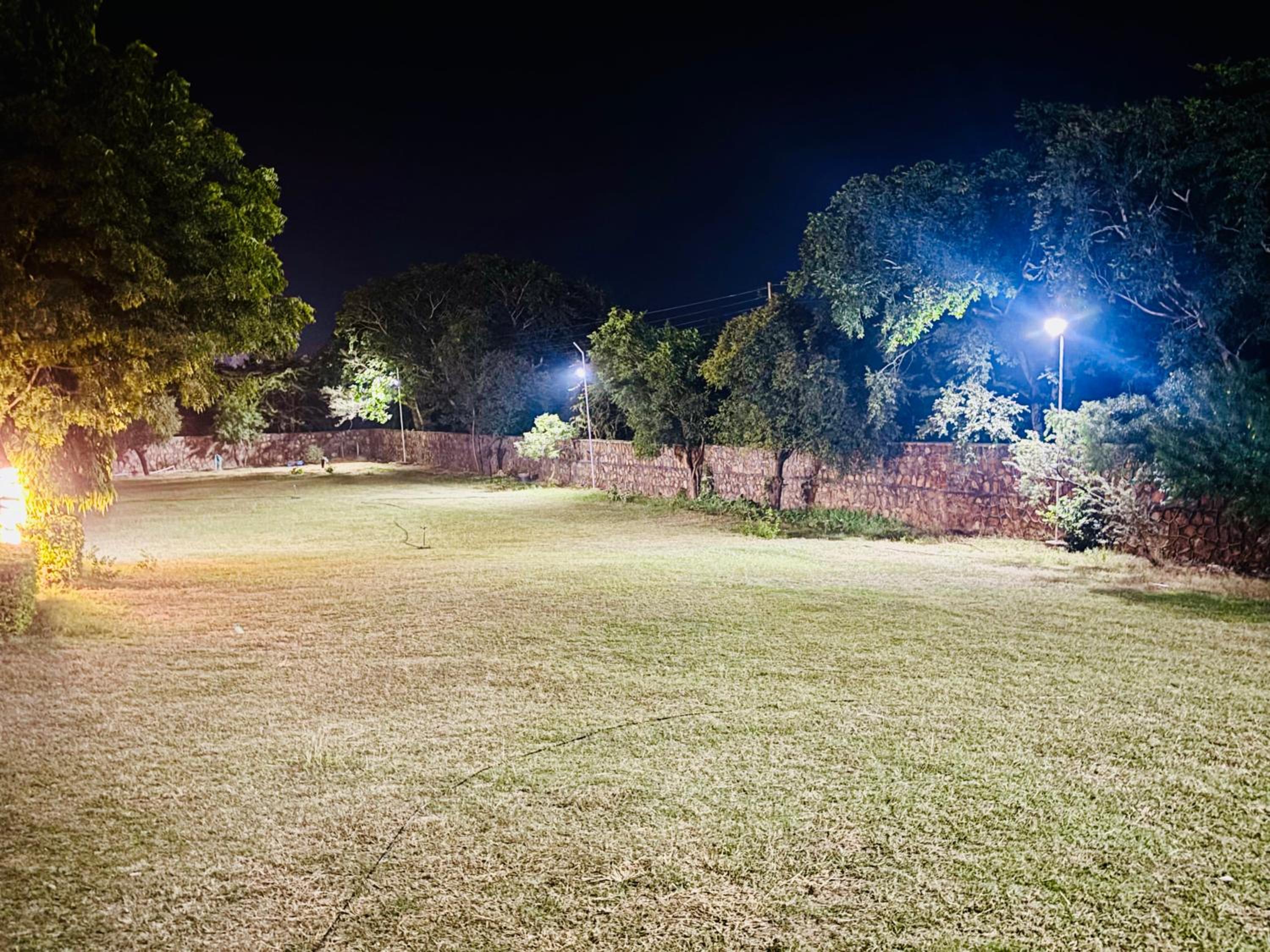 Photo 41