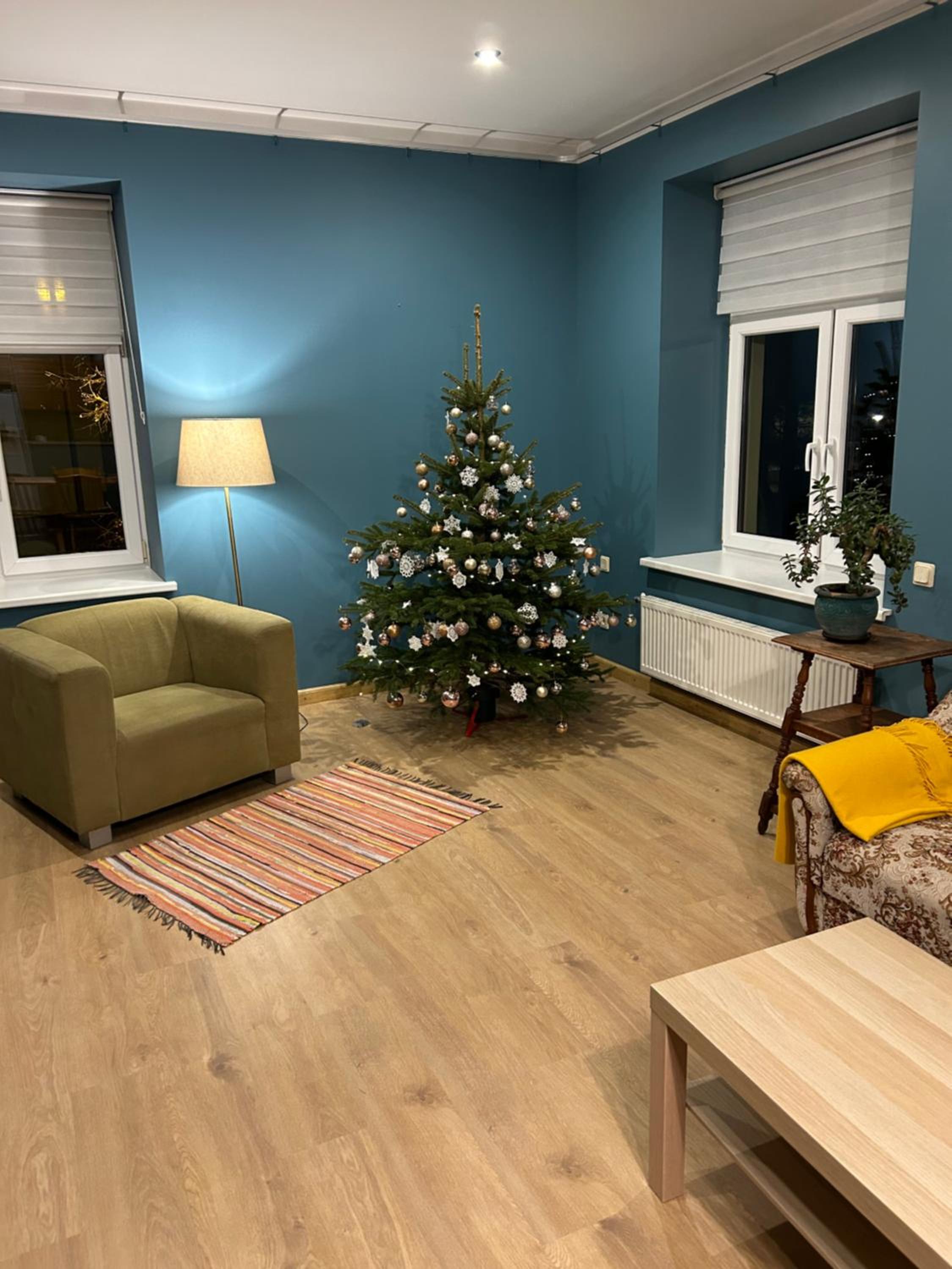 Baumanis apartamenti