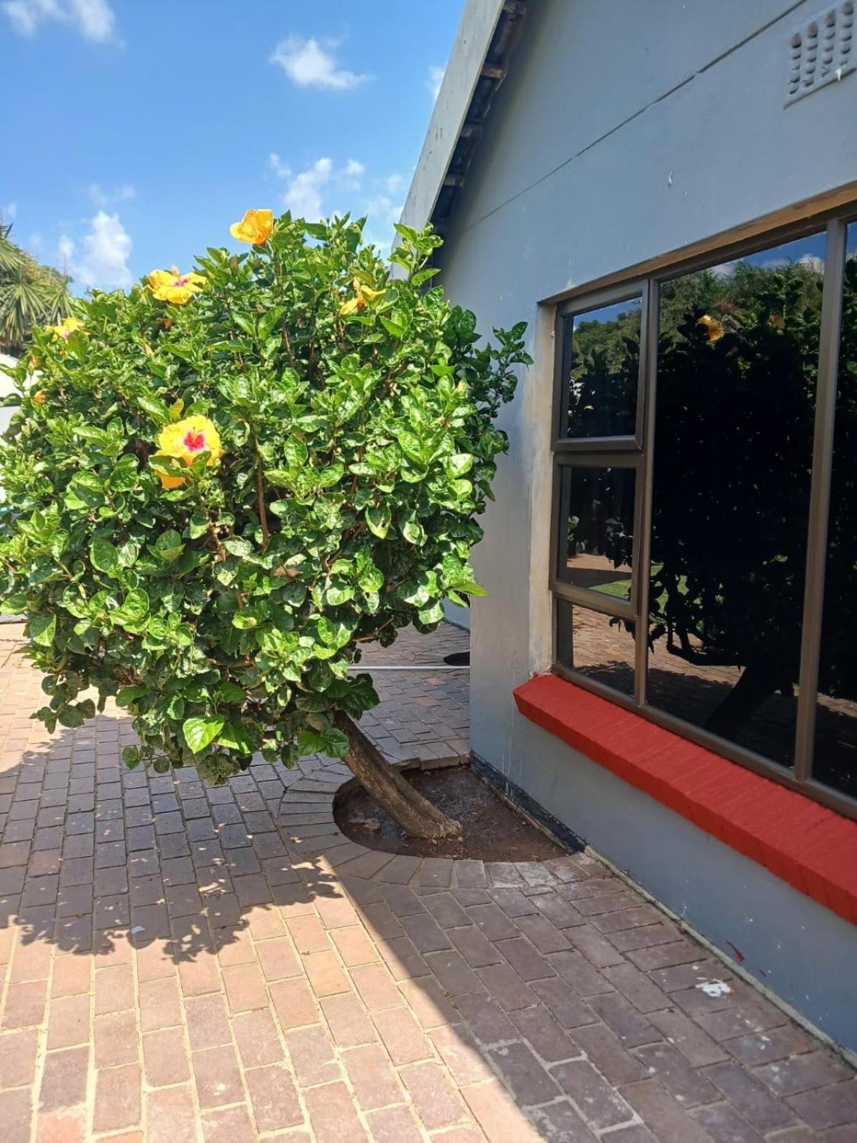 Coty and Reuben's guesthouse