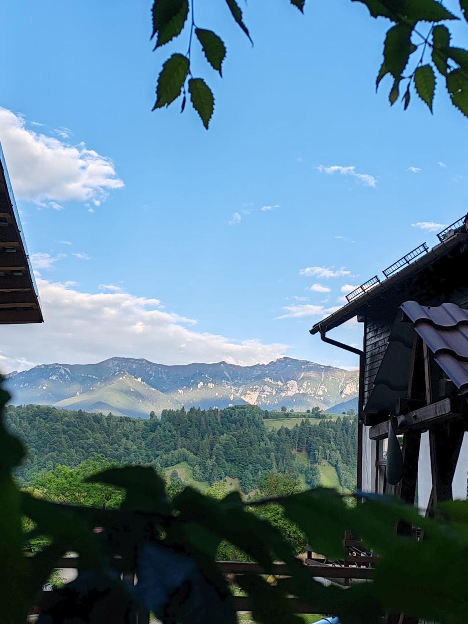 Pensiunea Glasul Pădurii view 4