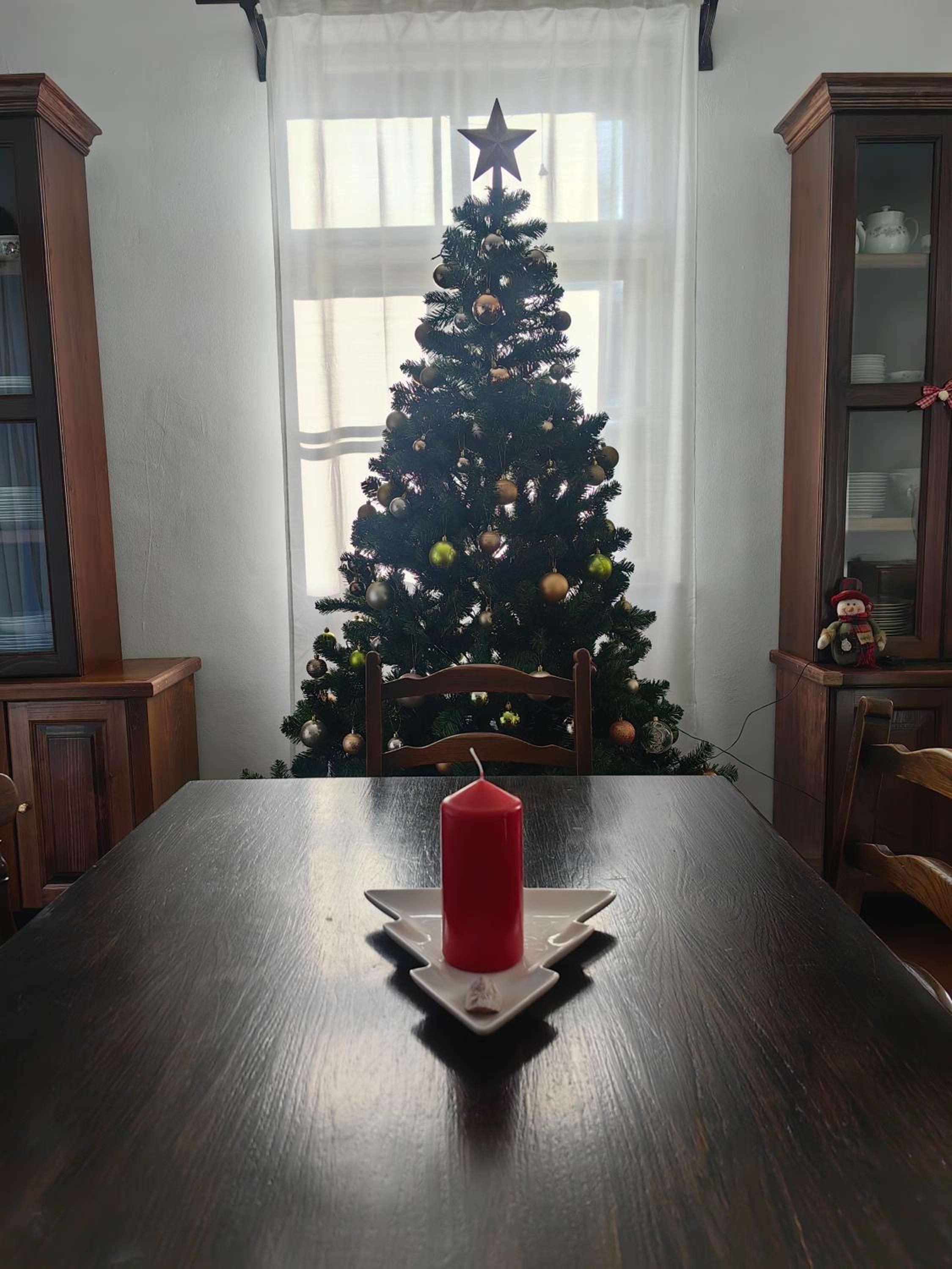 Hiša Hortenzija Luče