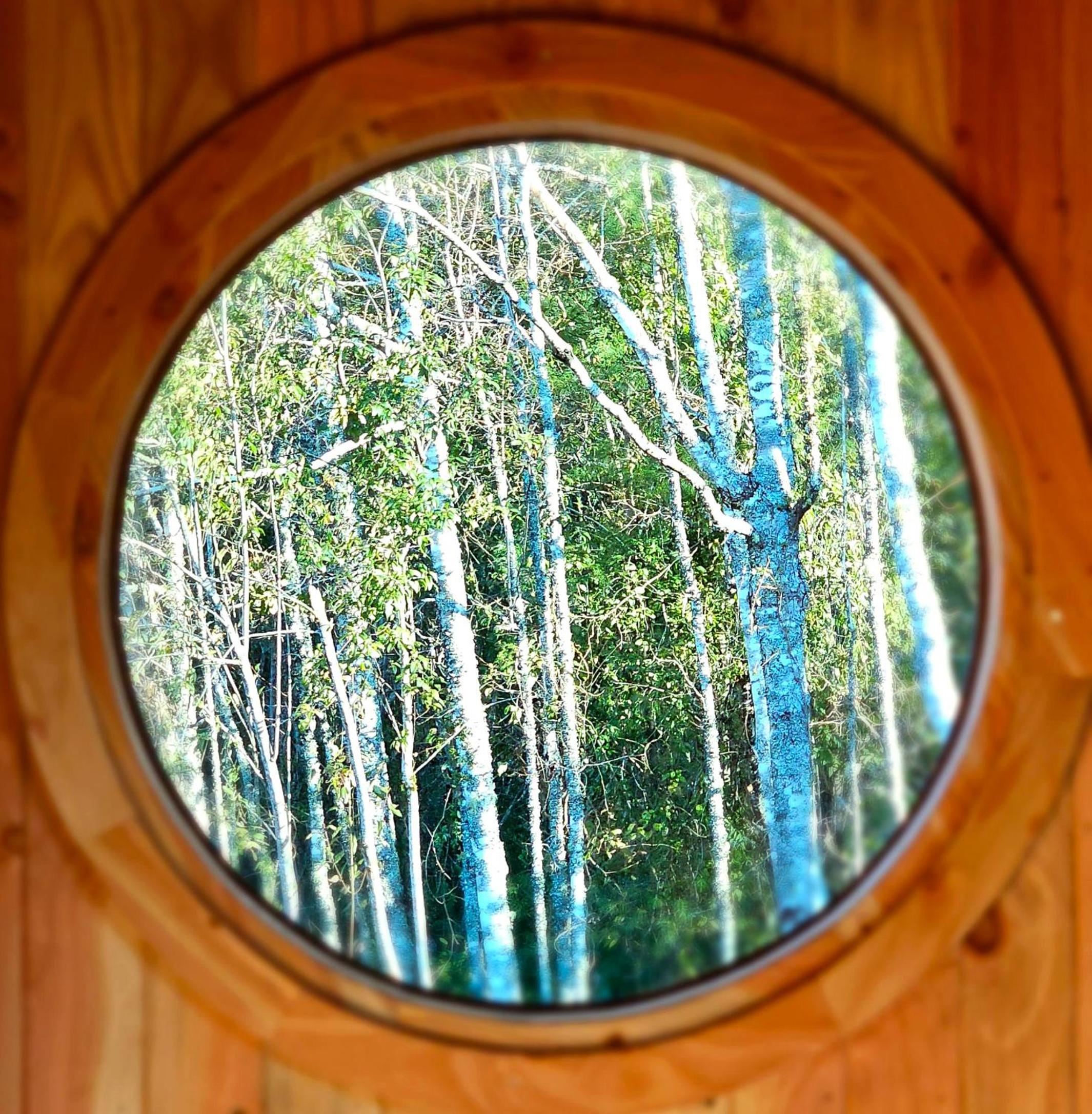 Hermosa vista al Volcán Villarrica