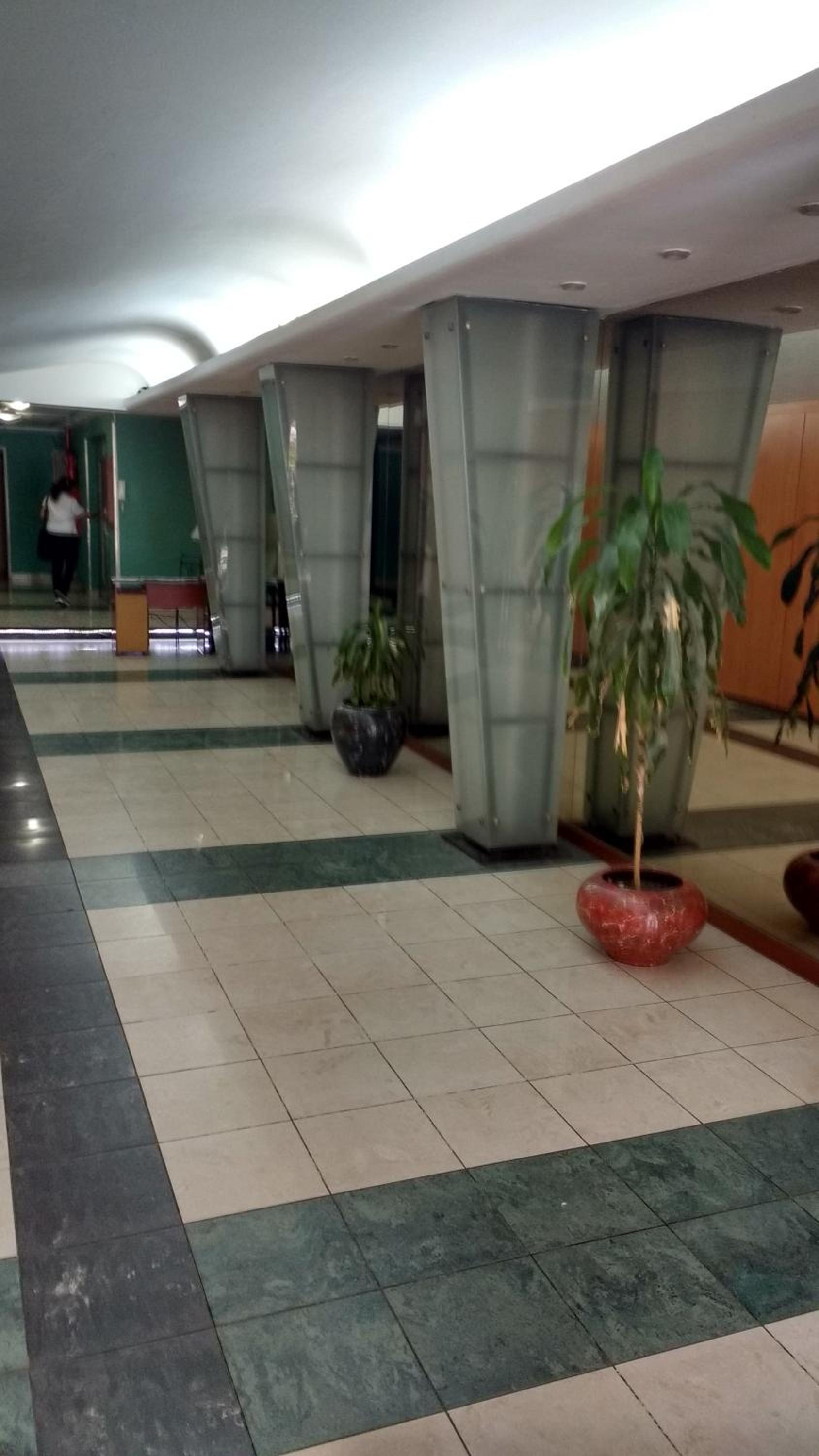 Peatonal Muñecas