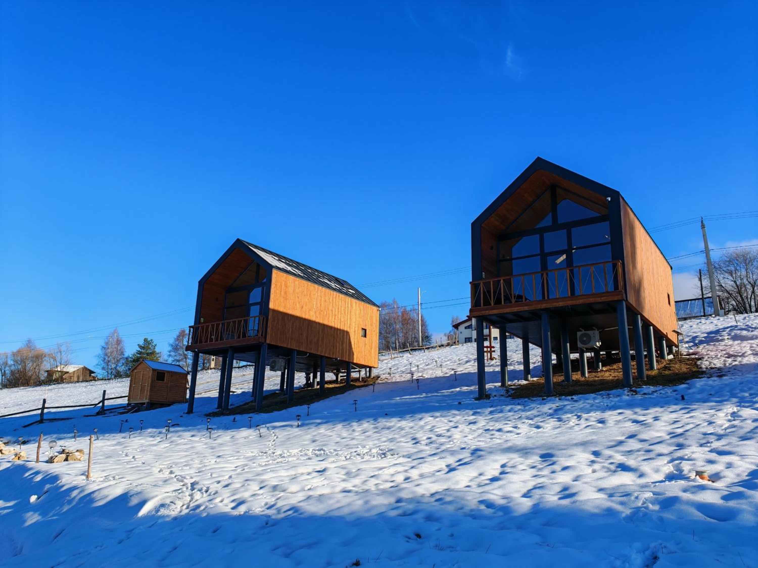 Suspended Tiny House