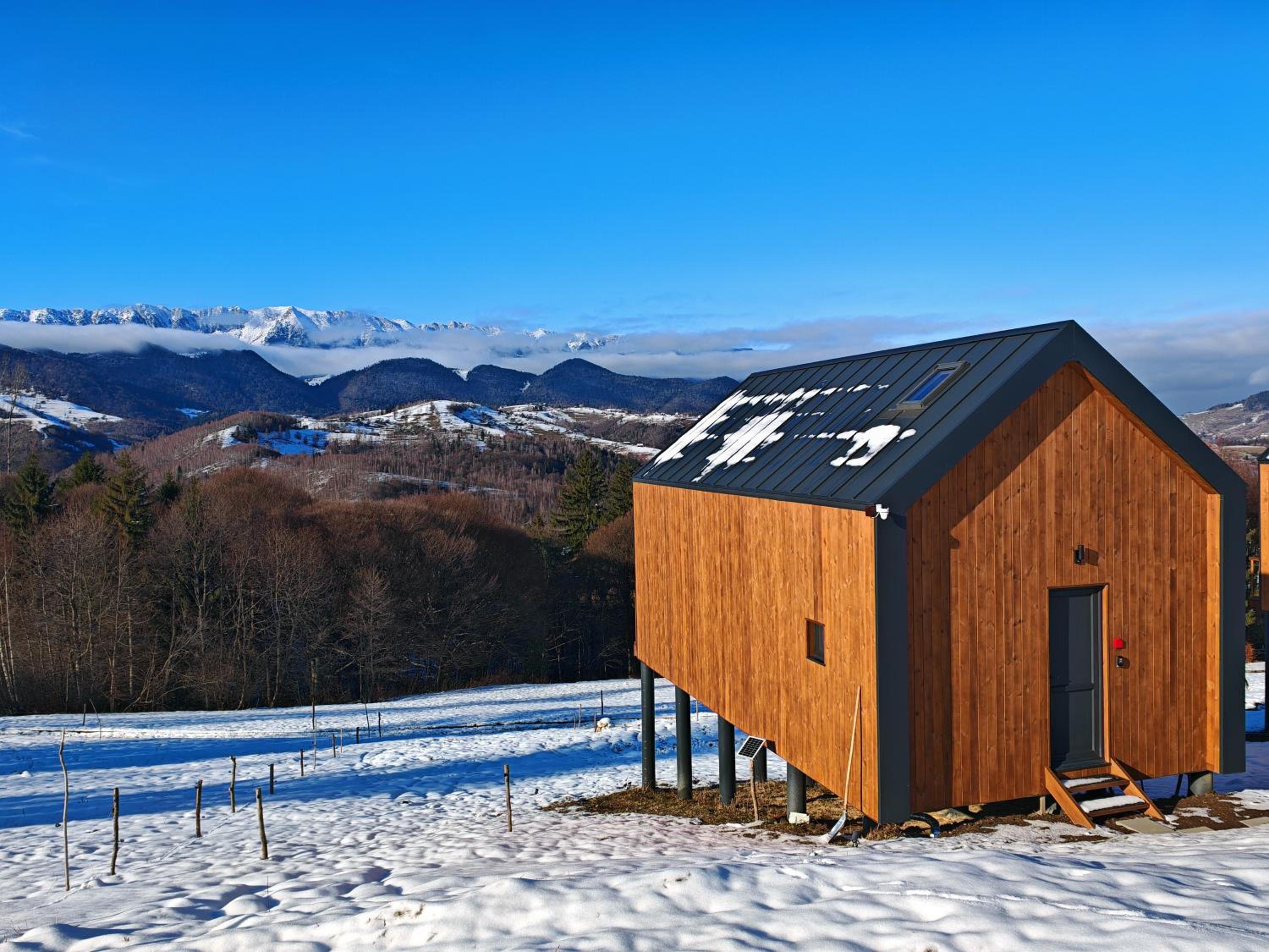 Suspended Tiny House