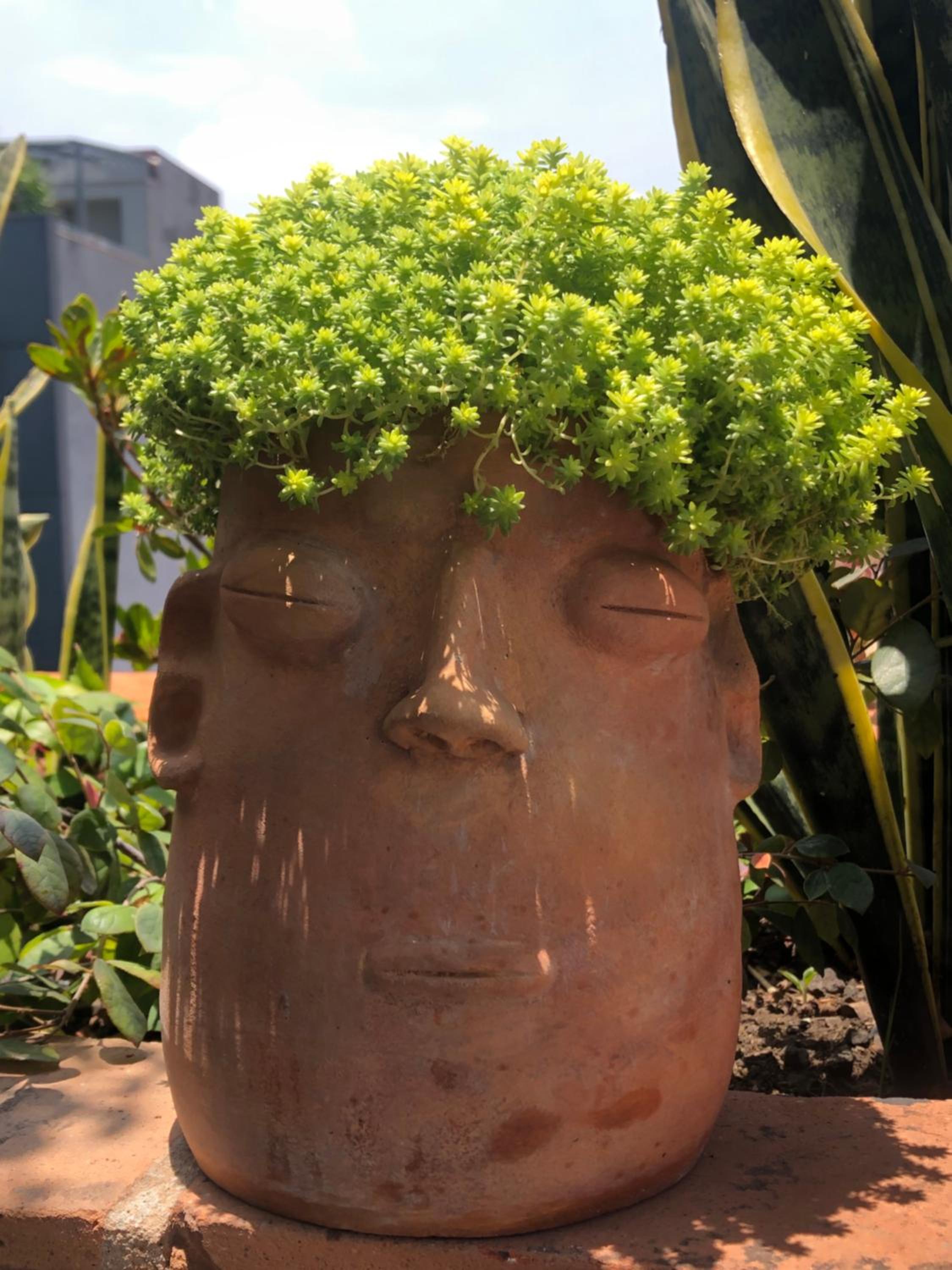 Extraordinario Penthouse con roofgarden en la Condesa photo 2