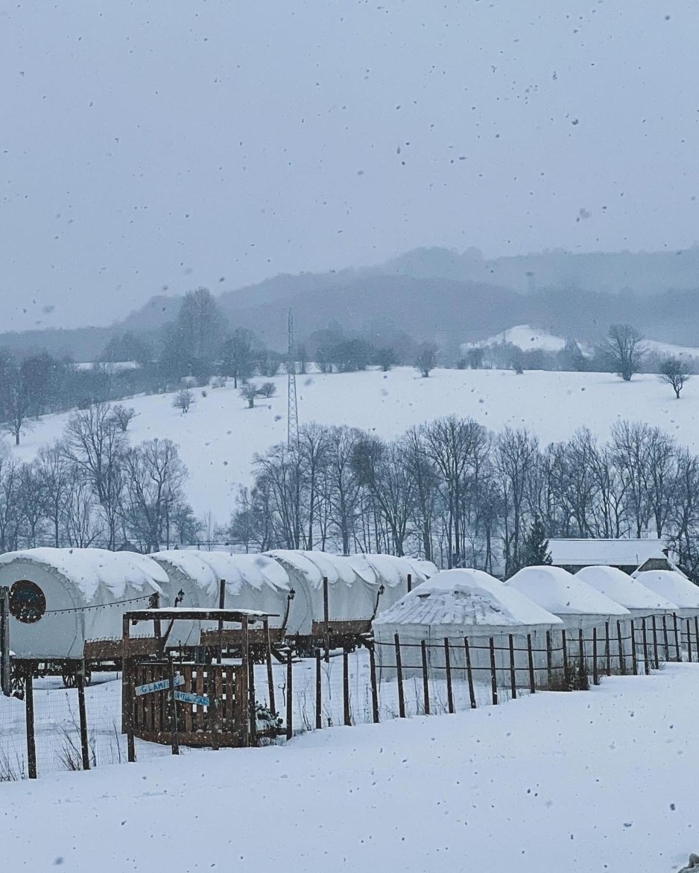 Glamping Iurte Mongole Spiritul Zimbrului