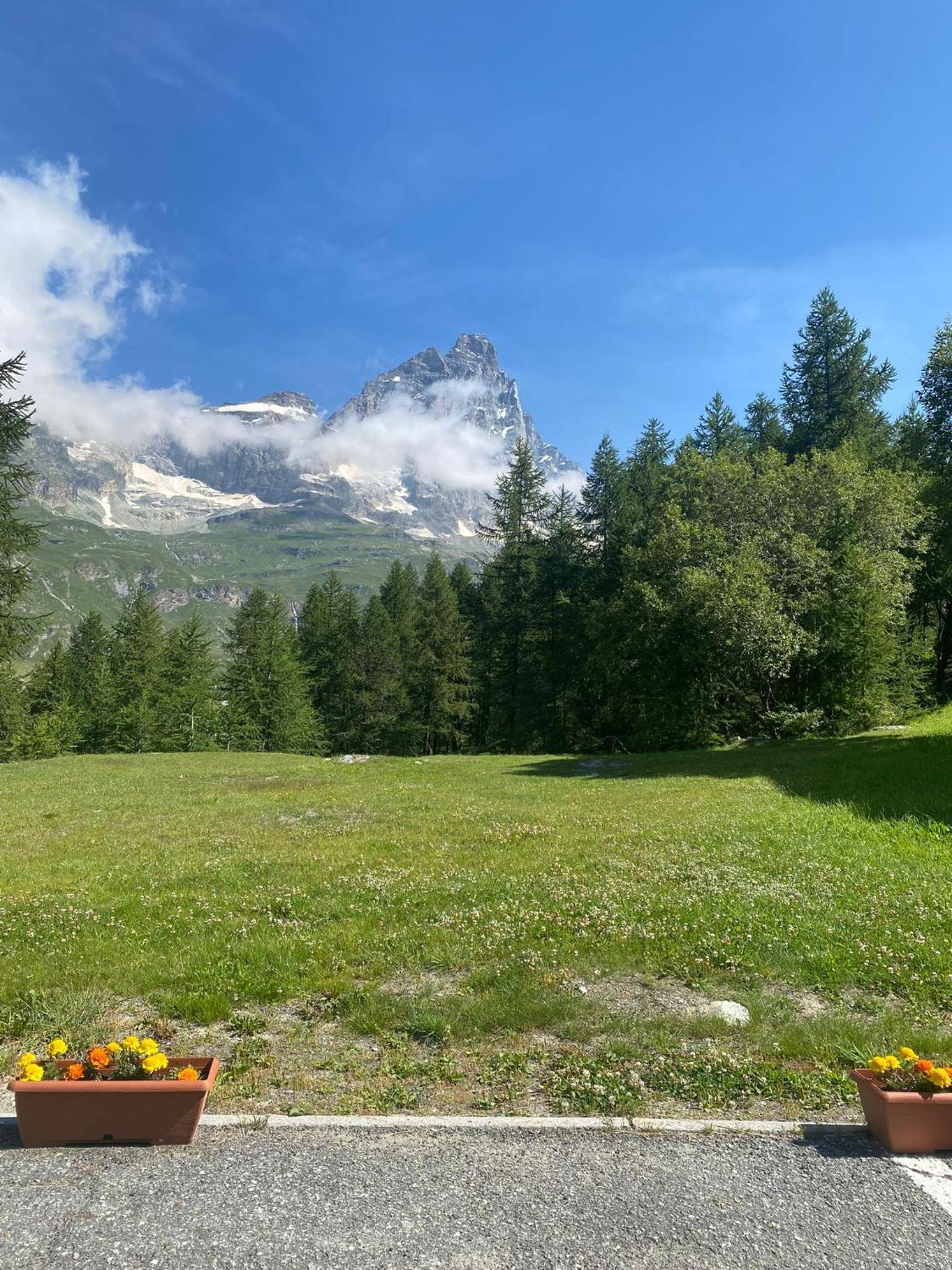 Grandes Mourailles Apartment ski in & ski out