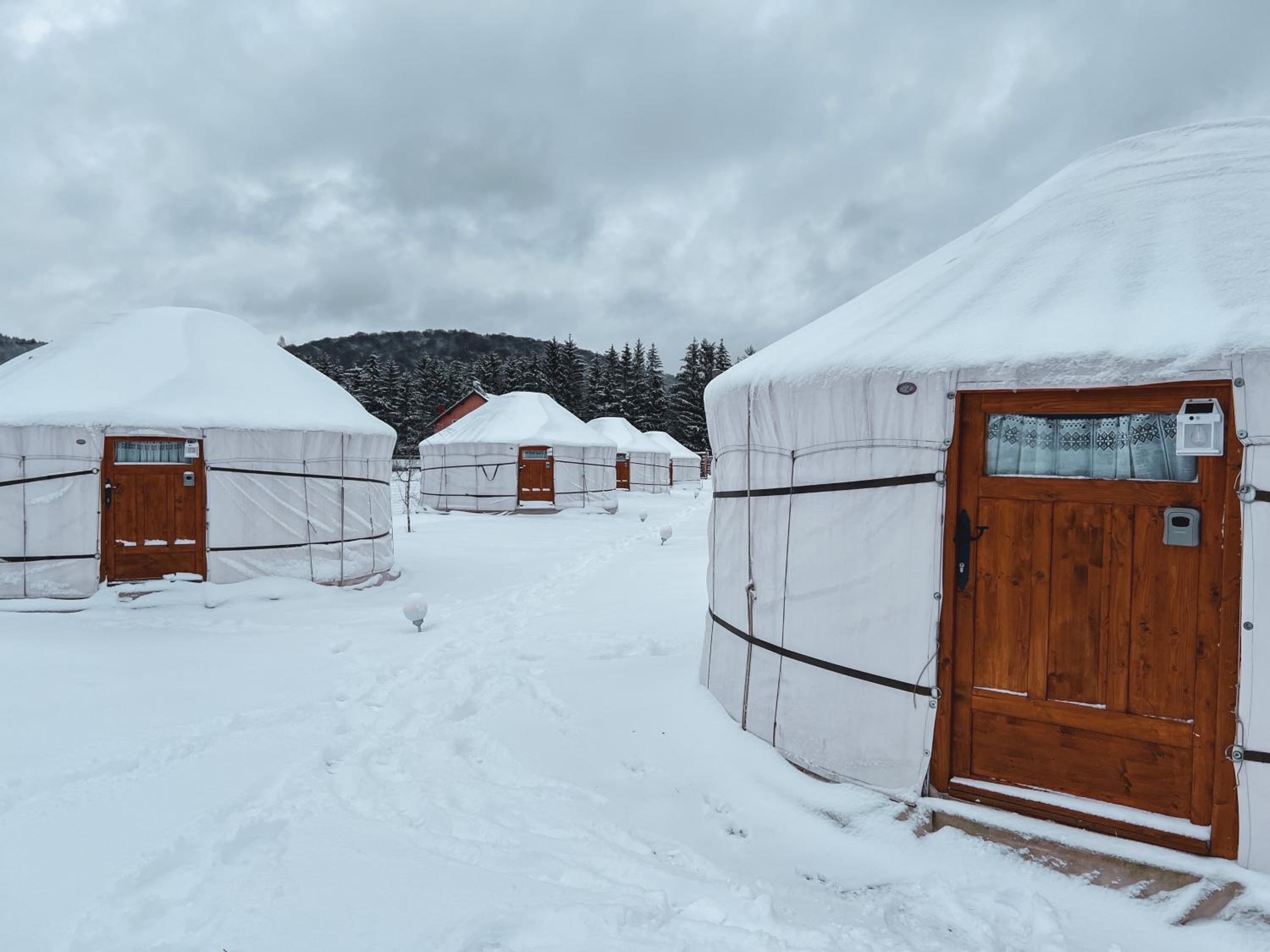Glamping Iurte Mongole Spiritul Zimbrului
