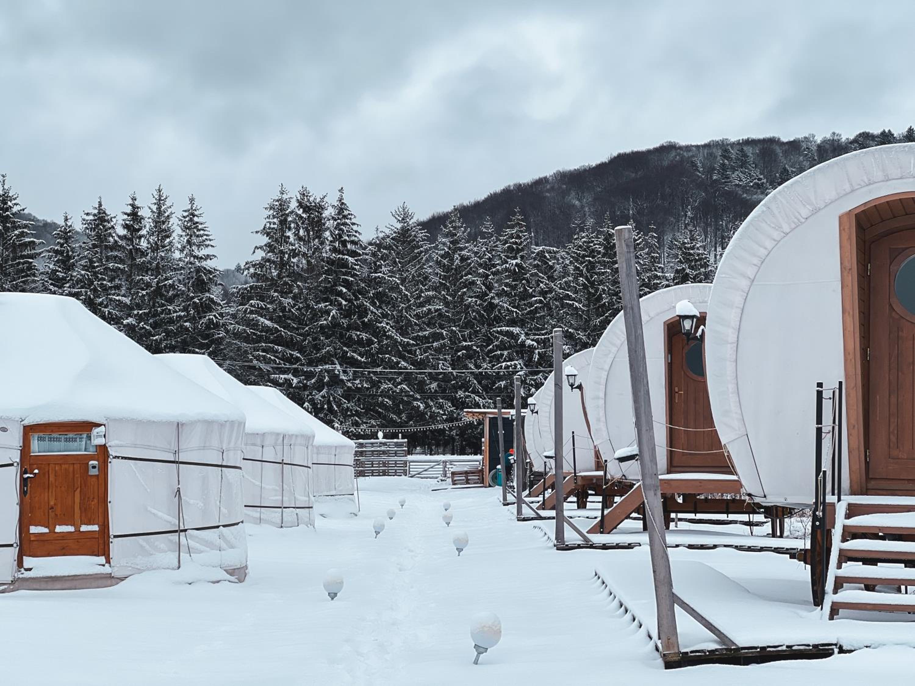 Glamping Iurte Mongole Spiritul Zimbrului