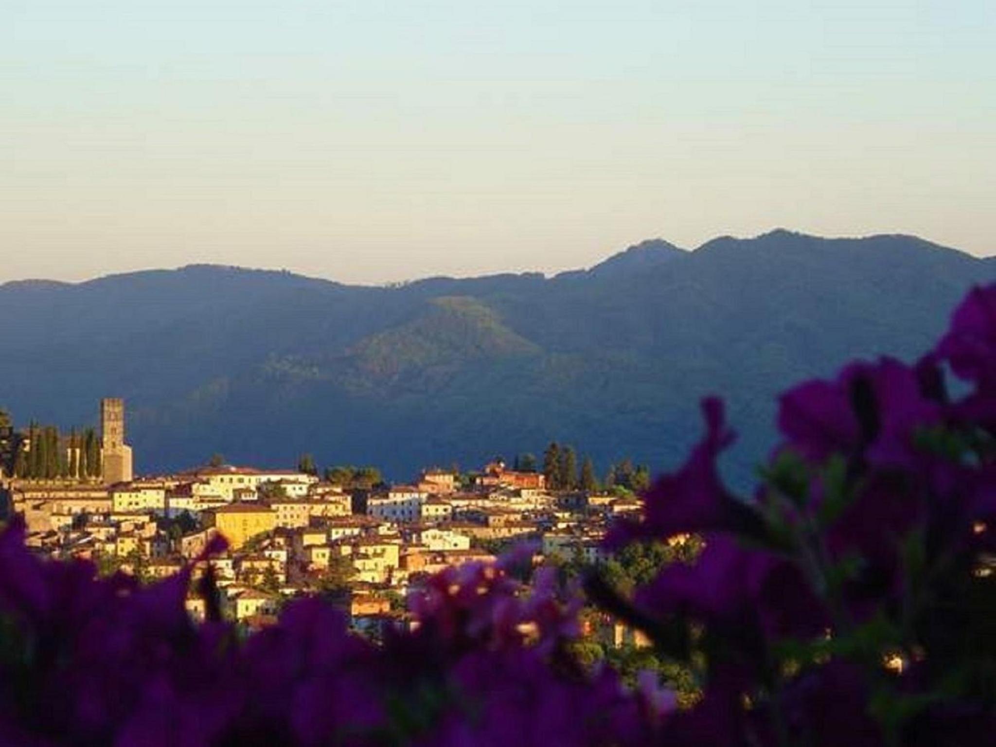 Il Trebbio