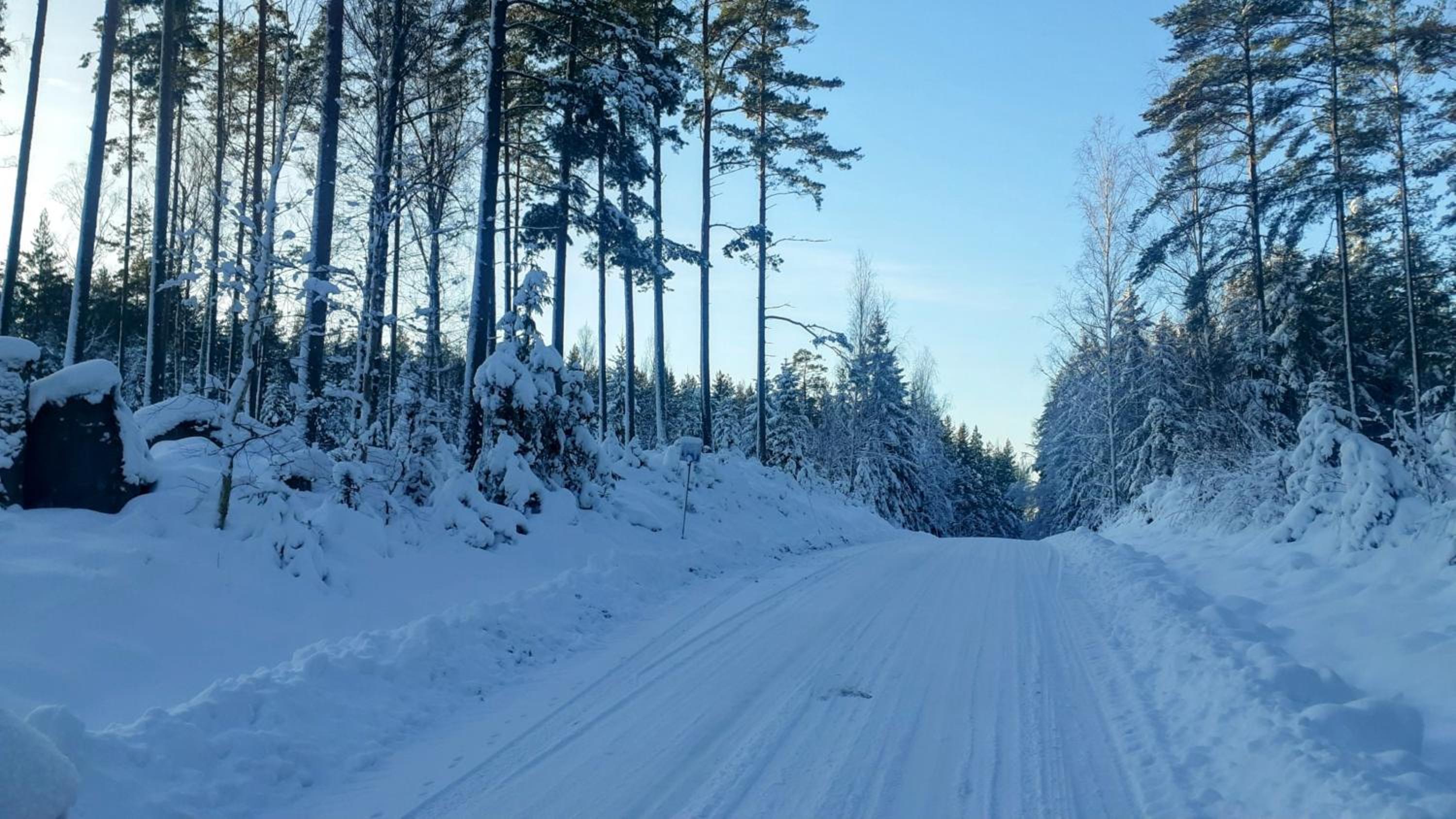 Romantic Lakeview Guesthouse in Swedish Nature view 5