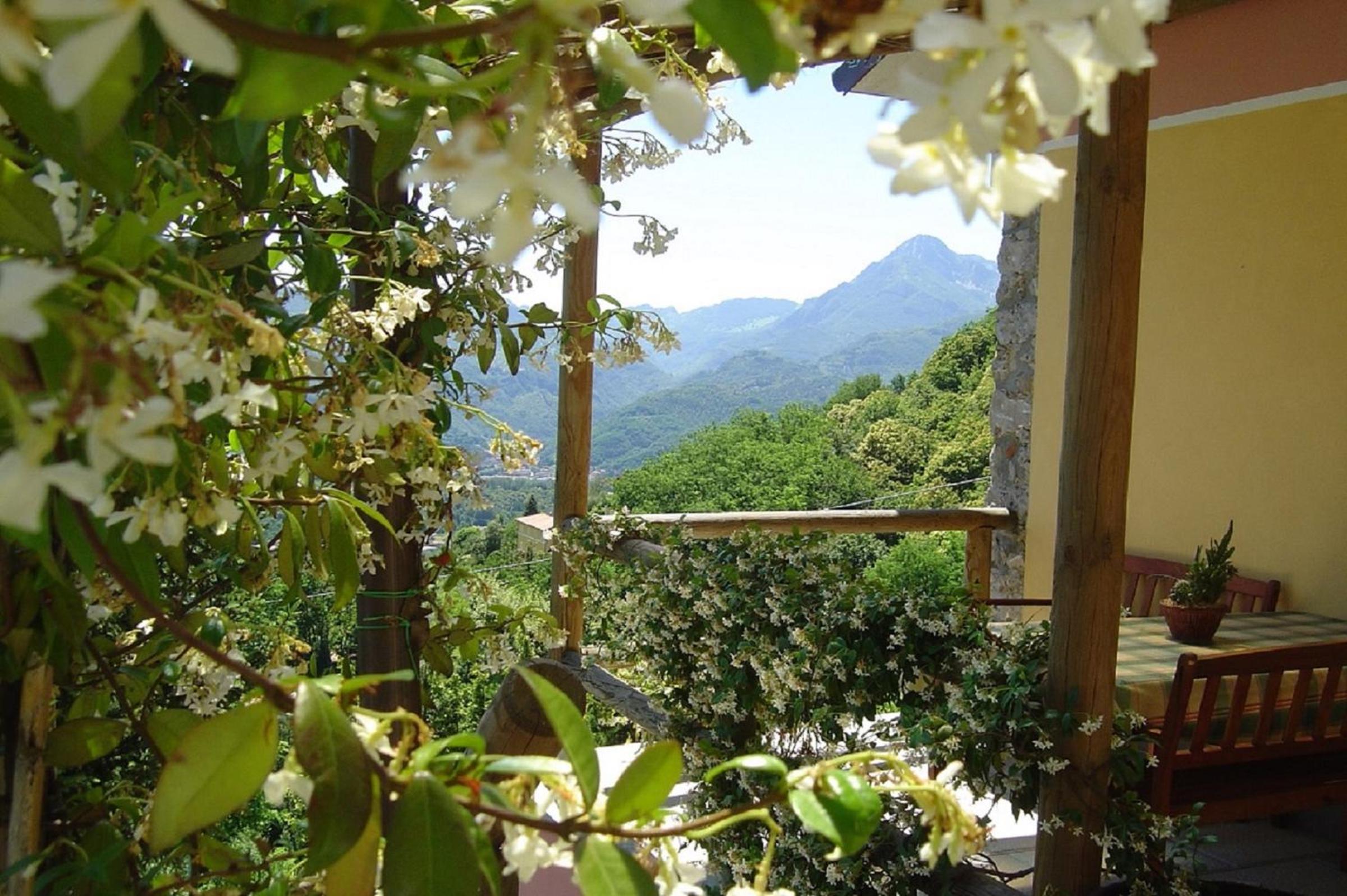 Il Trebbio