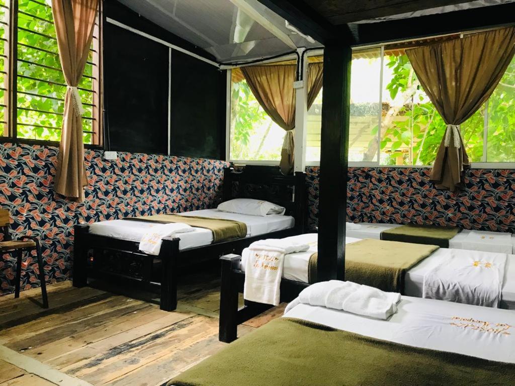 Hostal Las Mariposas Minca