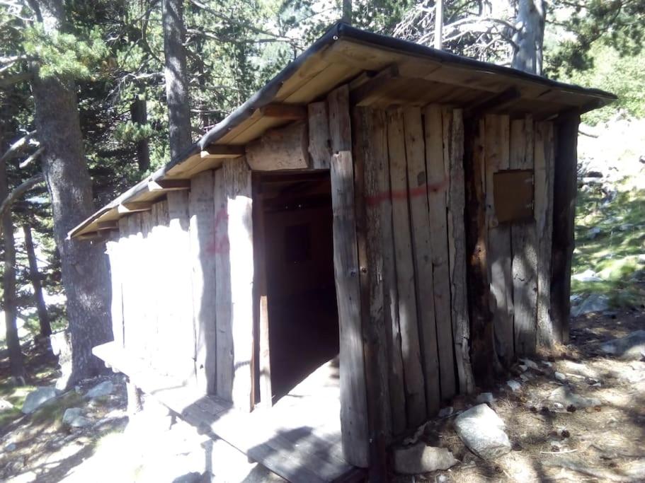 Photo 41