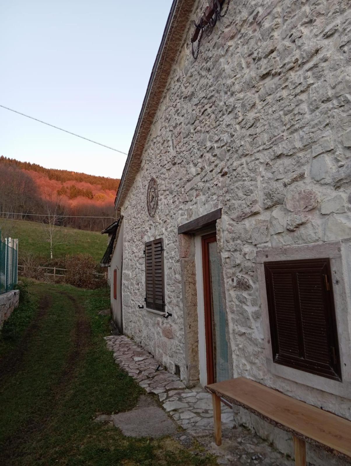 Photo 36