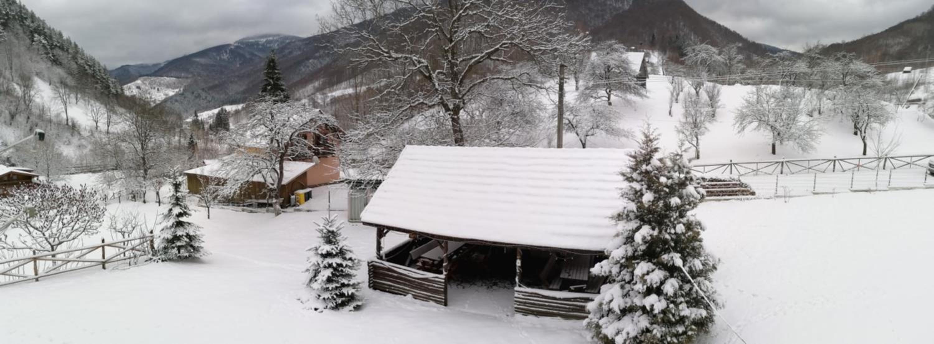 Cabana Valea Sadului