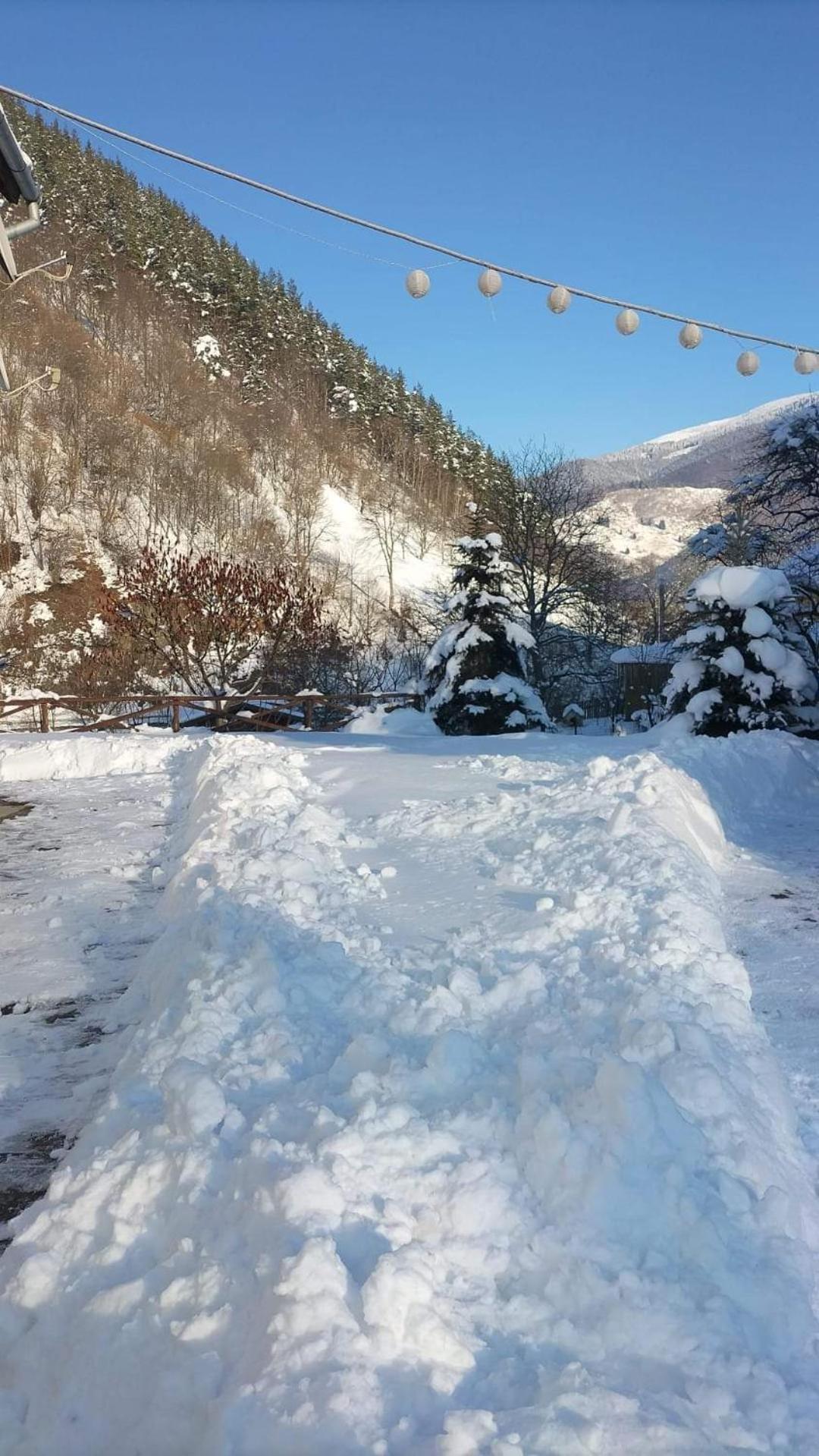 Cabana Valea Sadului