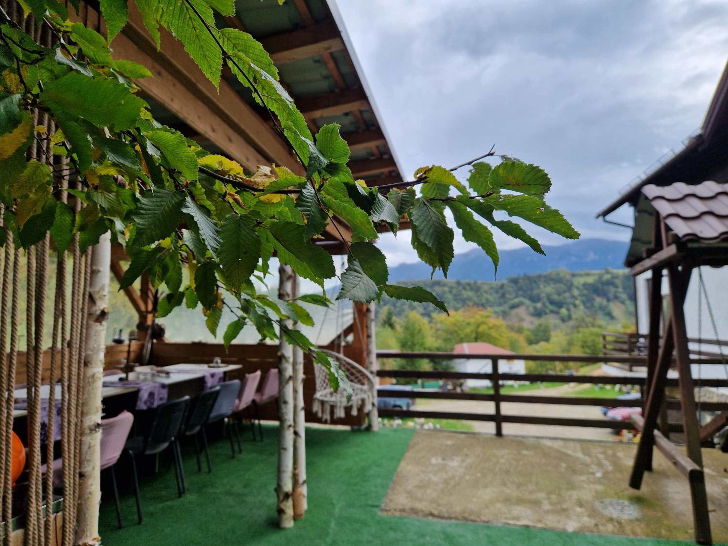 Pensiunea Glasul Pădurii view 3