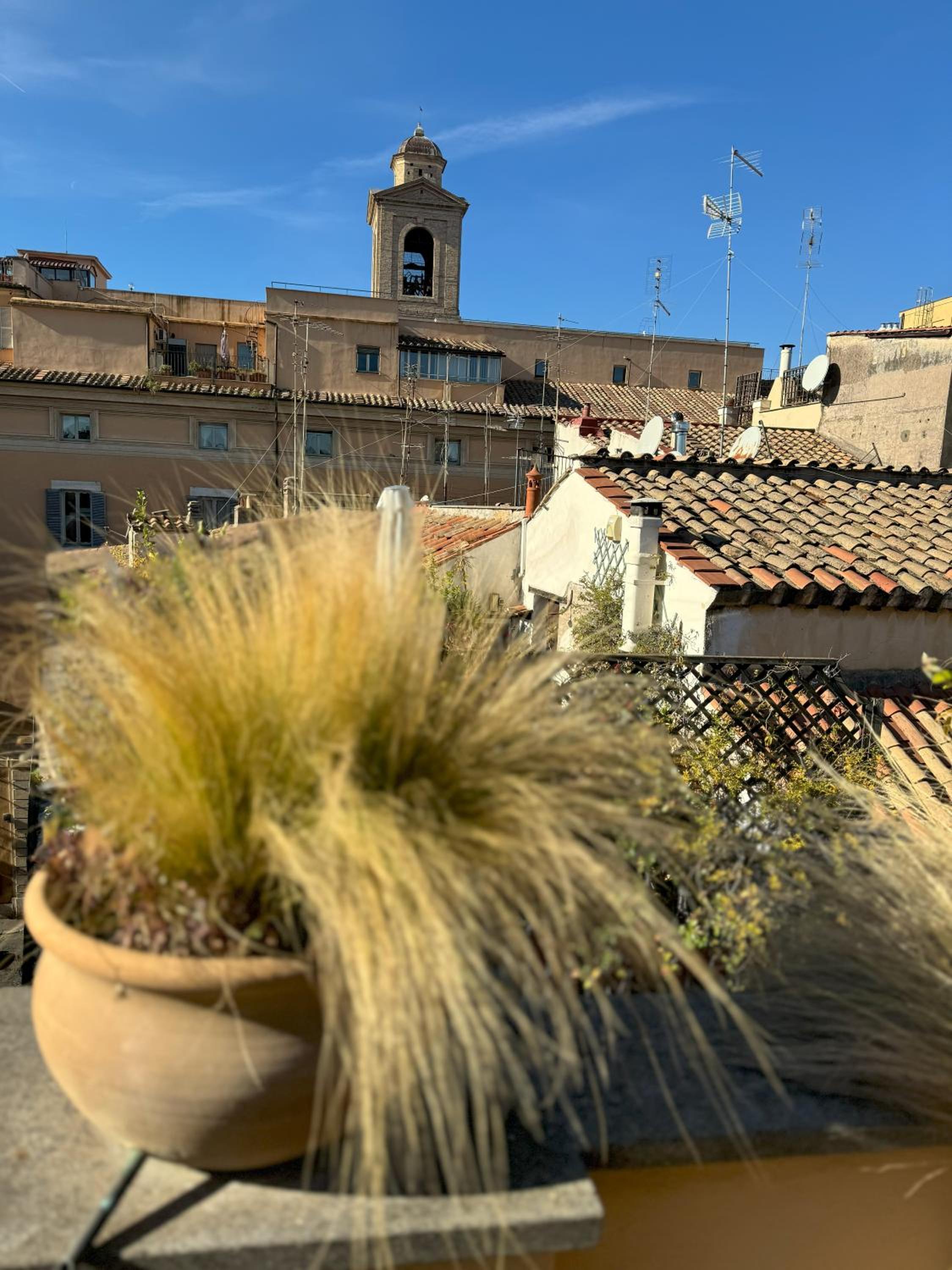 Pantheon Gabbianina Home