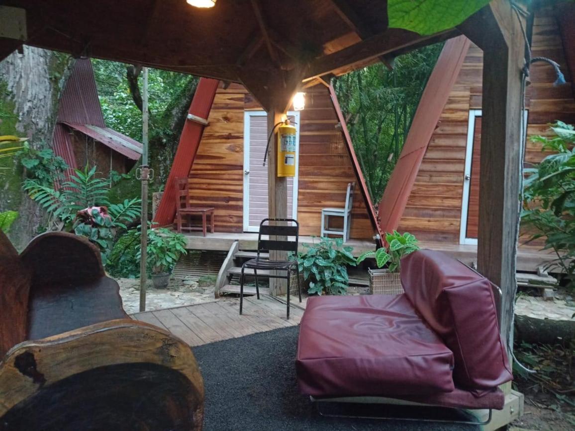 Hostal Las Mariposas Minca