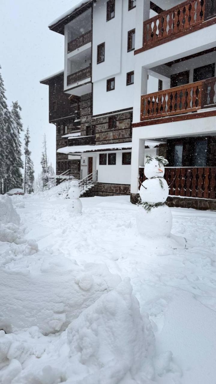Olive Apartment with terrace B100 in Grand Resort Pamporovo