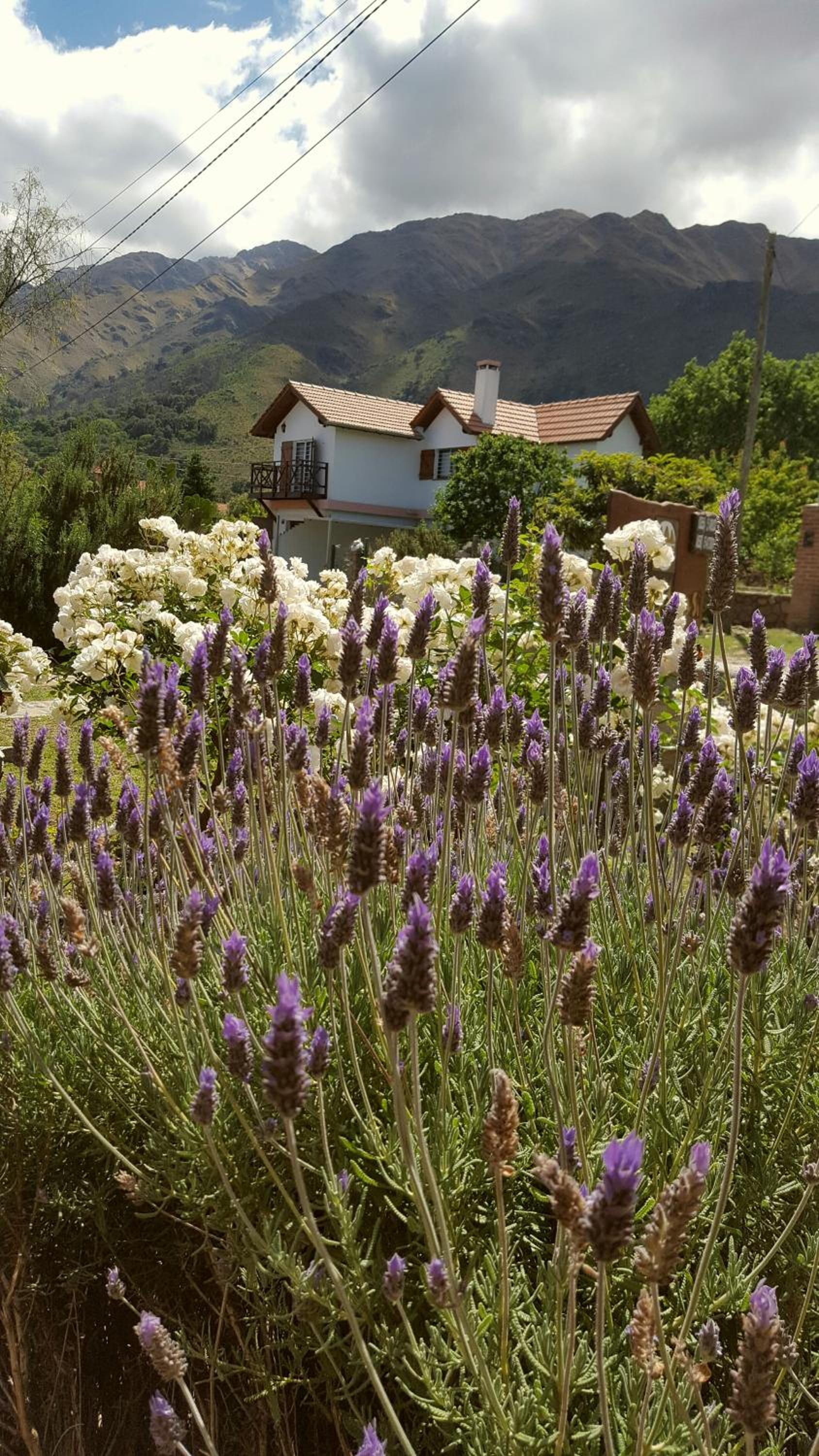 INCA HUASI - Cabañas de Altura
