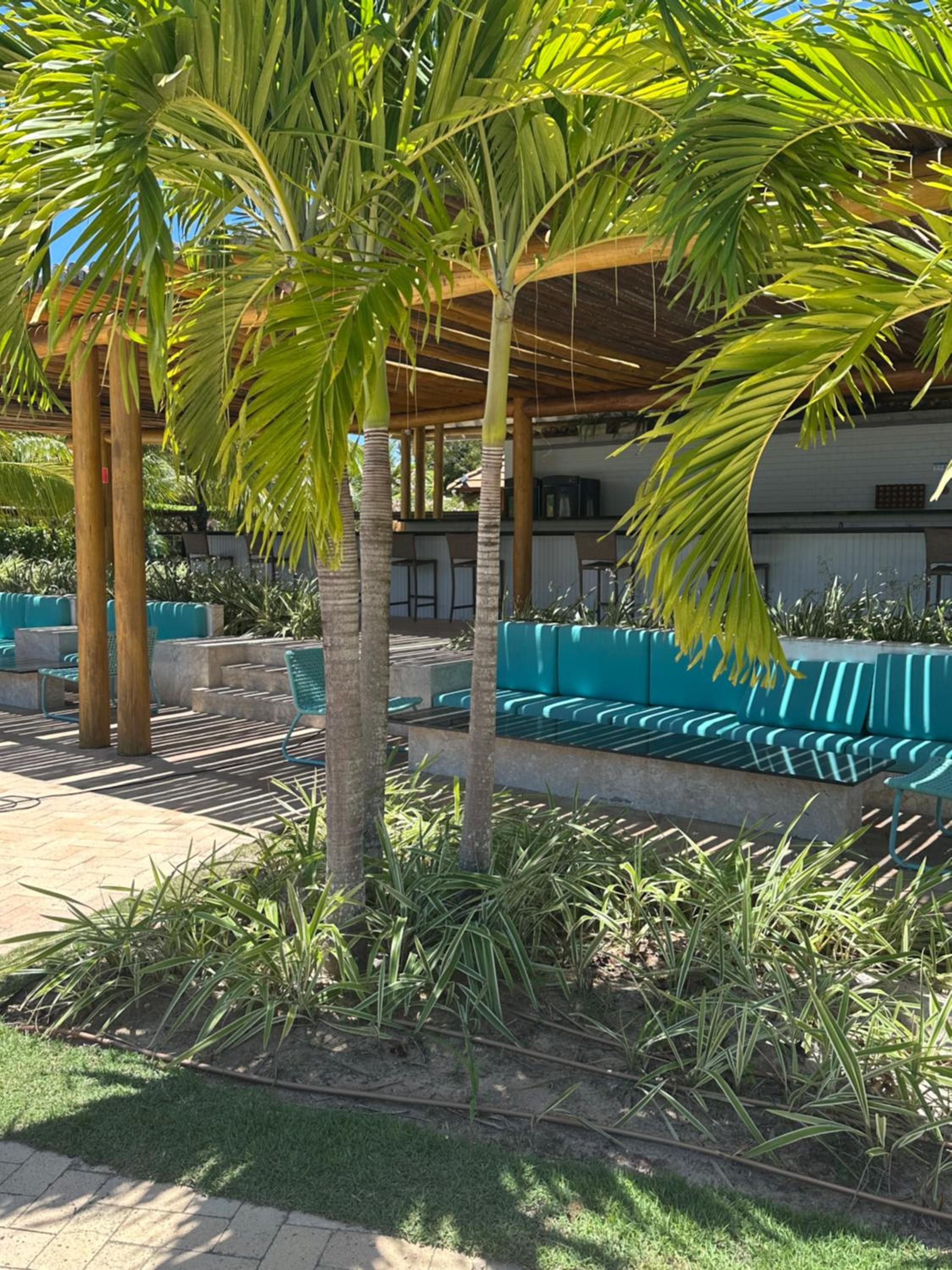 Casa Malibu_Praia do Forte