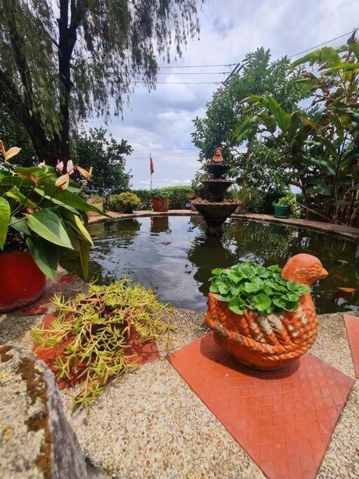 Escapada En La Quinta Esperanza