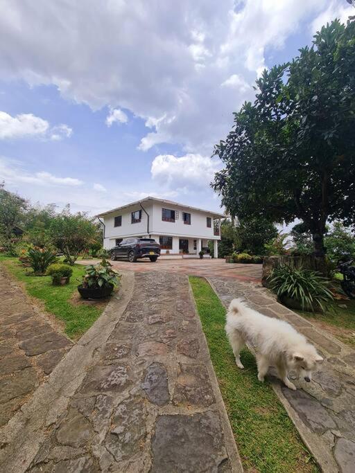 Escapada En La Quinta Esperanza
