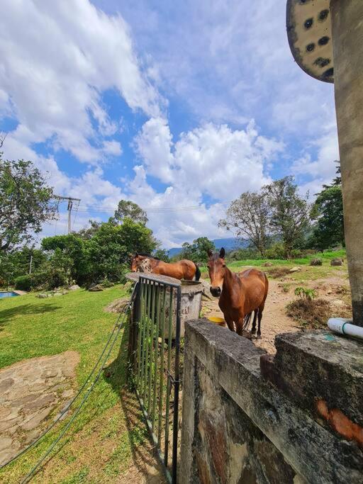 Escapada En La Quinta Esperanza