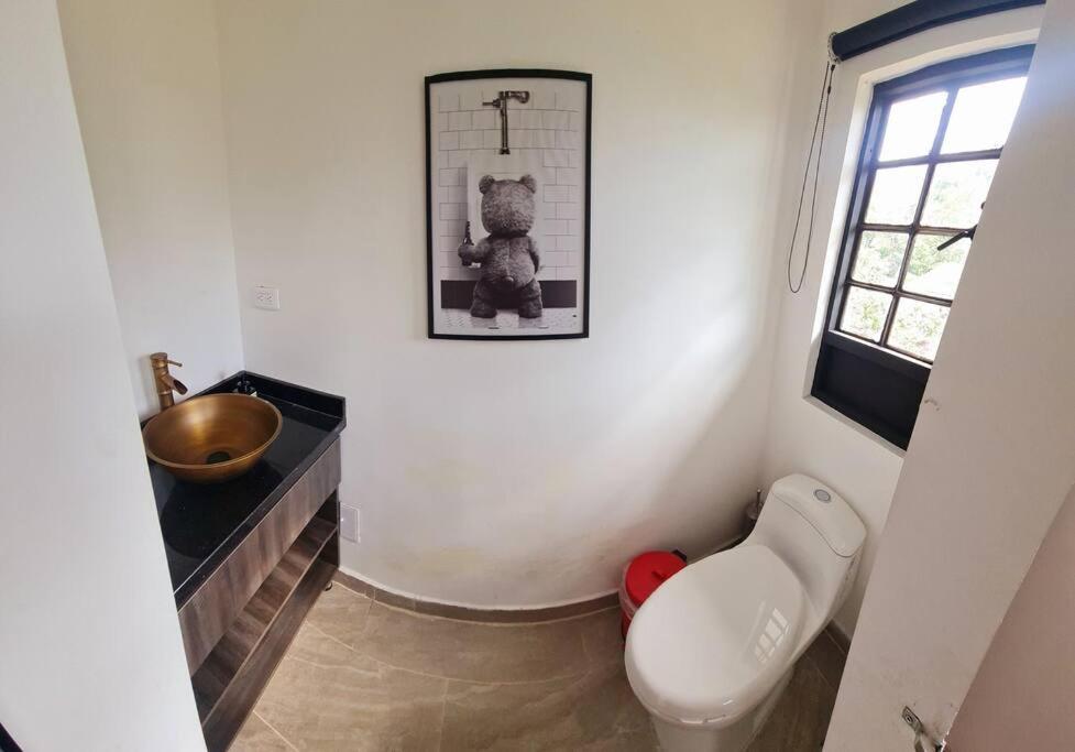 Escapada En La Quinta Esperanza