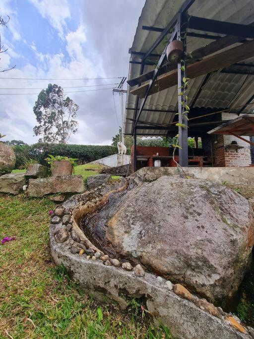 Escapada En La Quinta Esperanza