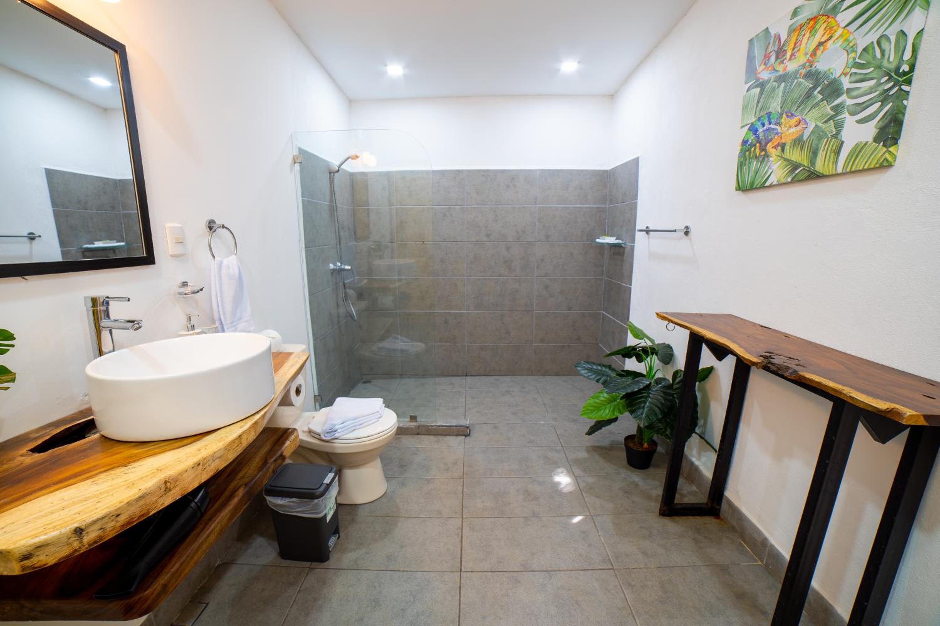Casa Violeta Home rentals