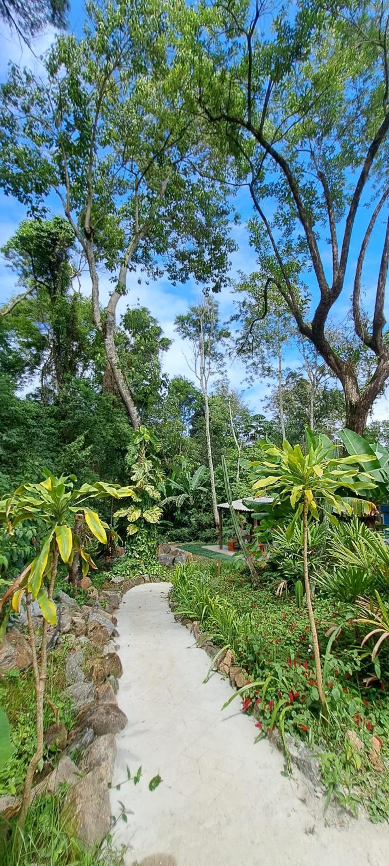 Casa ILHABELA CACHOEIRA PAQUETA - Refúgio dos Sonhos, a Escapada Ideal para Aproveitar o Melhor da Natureza!