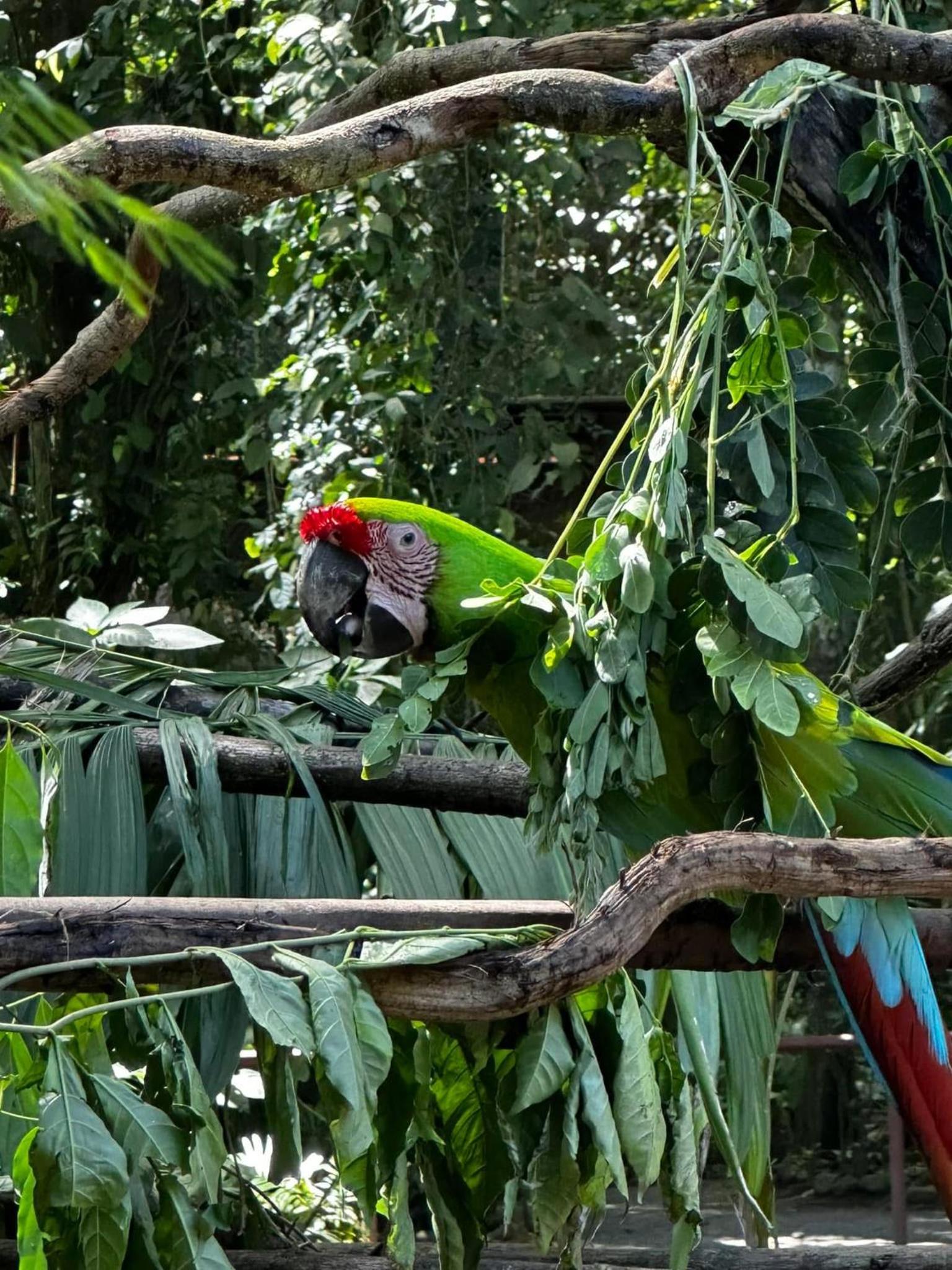 Casa Rio Blanco Eco Friendly B&B