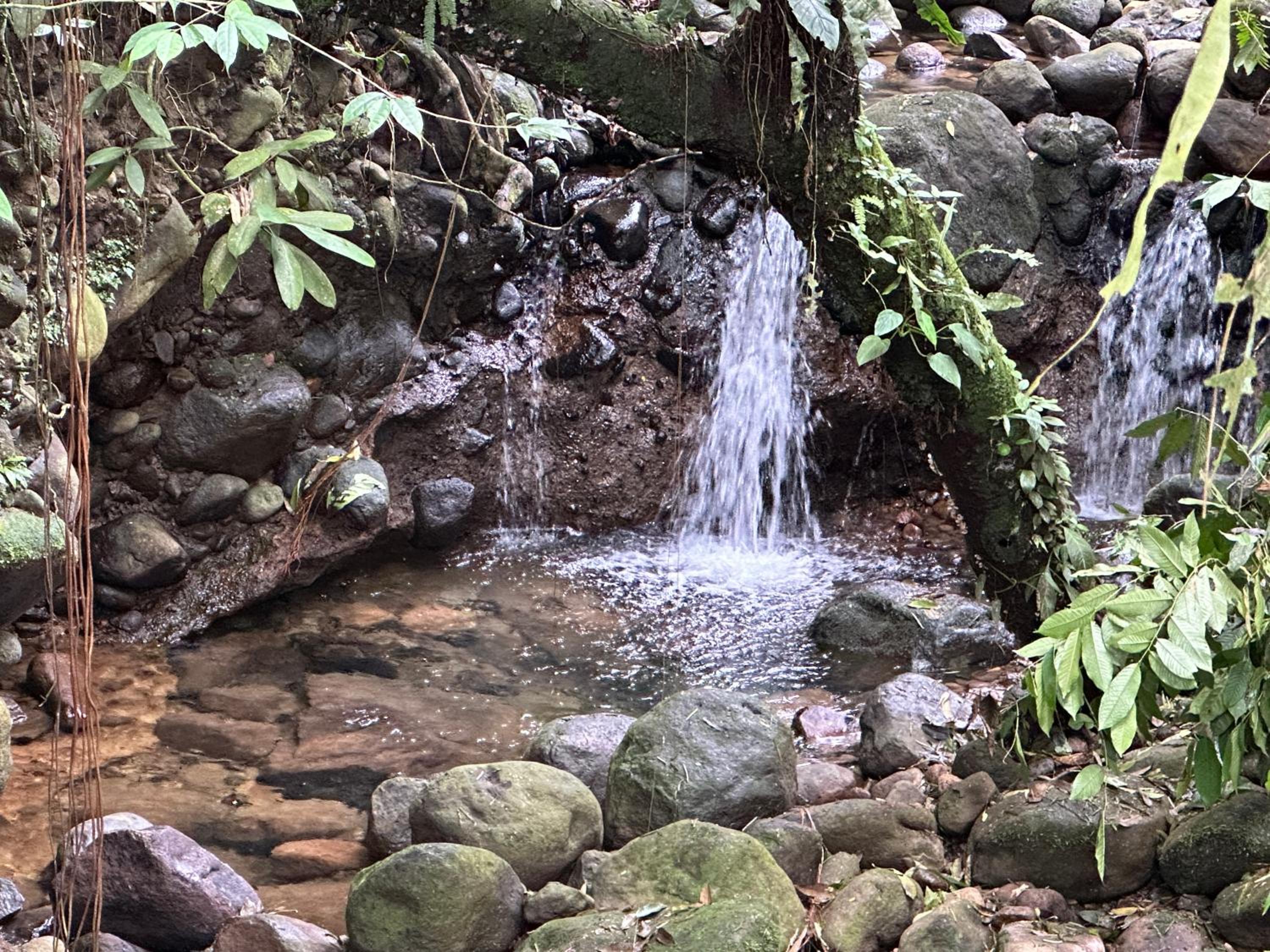 Casa Rio Blanco Eco Friendly B&B