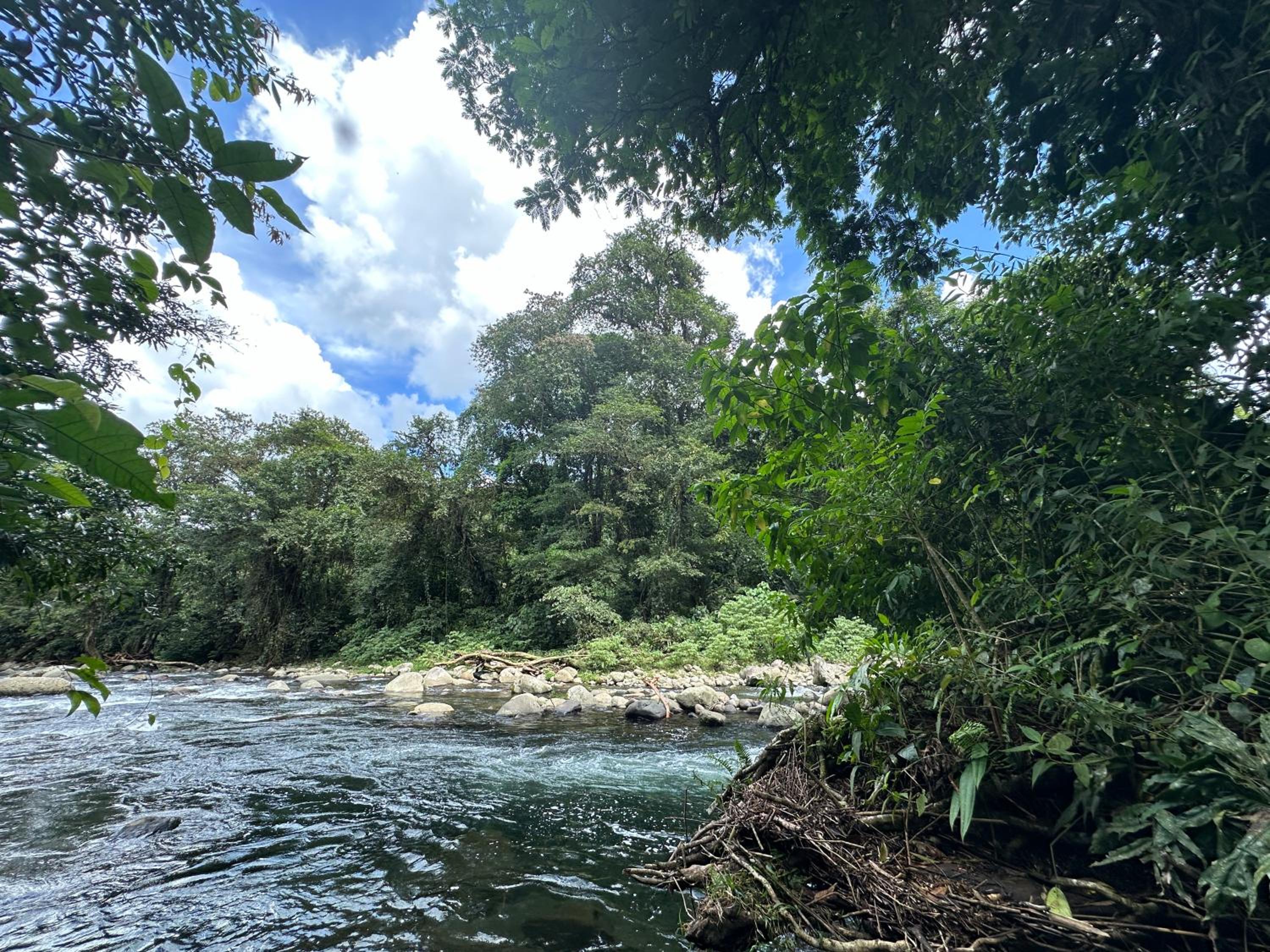 Casa Rio Blanco Eco Friendly B&B