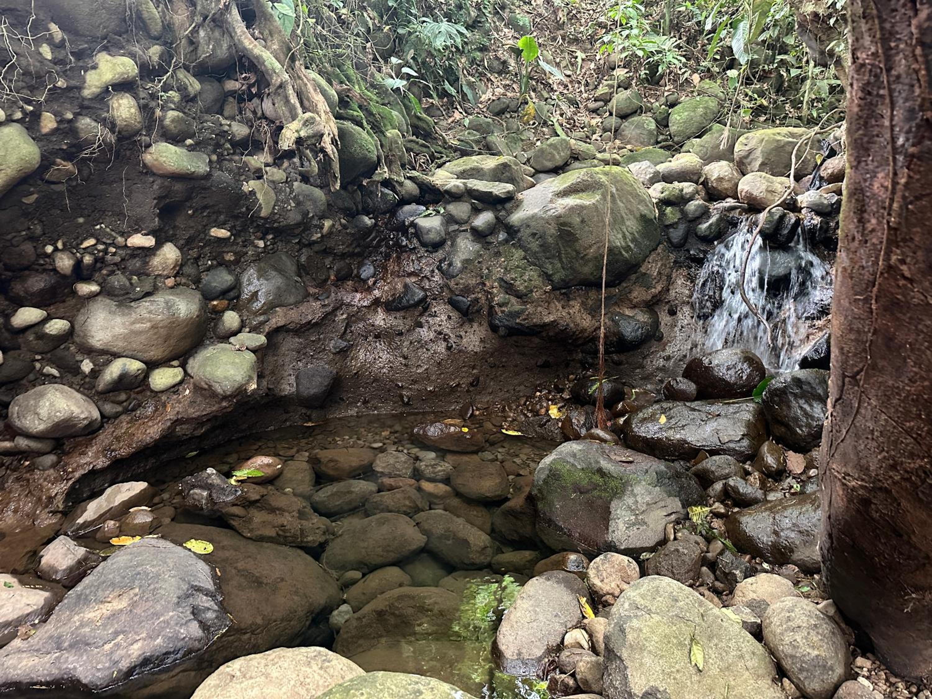 Casa Rio Blanco Eco Friendly B&B