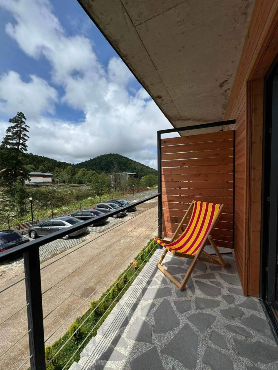 Warm & Cozy Home in Bakuriani