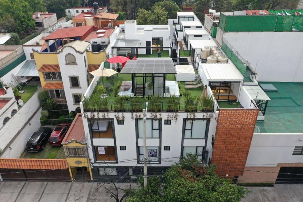 Coyoacan Frida's Favorite Loft view 3